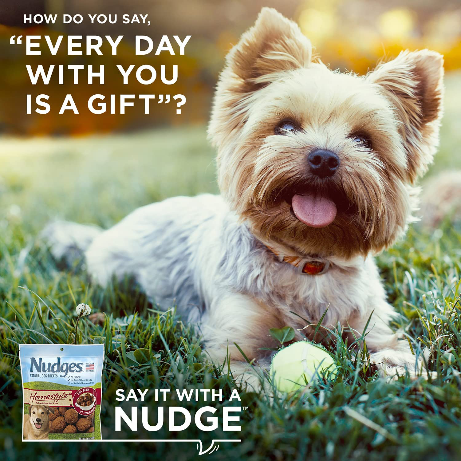 Nudges Natural Dog Treats Homestyle Made with Real Beef and Rice, 16 Oz Animals & Pet Supplies > Pet Supplies > Small Animal Supplies > Small Animal Treats Nudges   