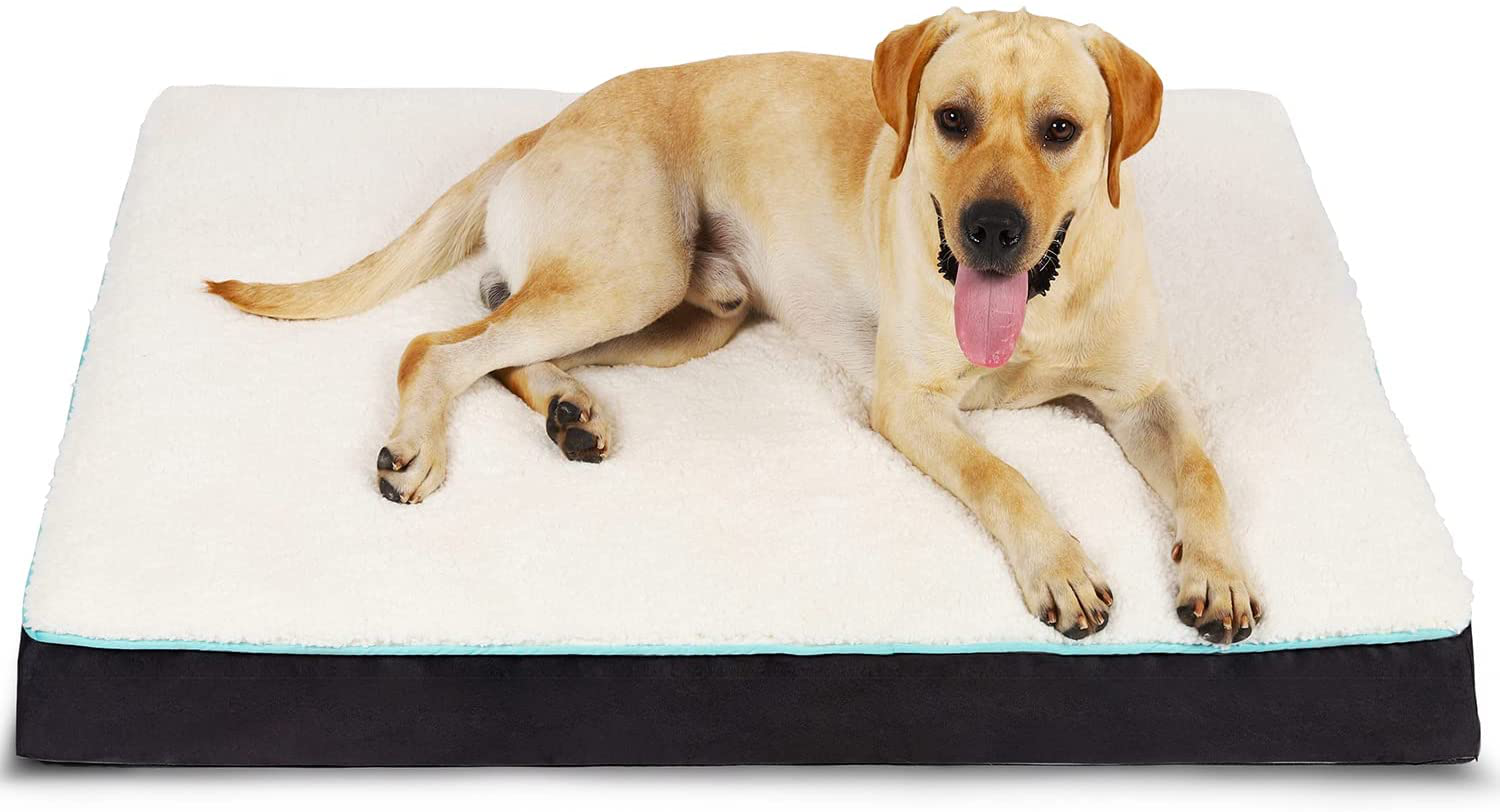 EDUJIN Egg Crate Foam Dog Bed - Orthopedic Rectangle Pet Bed with Removable Washable Cover - Soft anti Slip Pad Mat Animals & Pet Supplies > Pet Supplies > Dog Supplies > Dog Beds EDUJIN Black Medium 