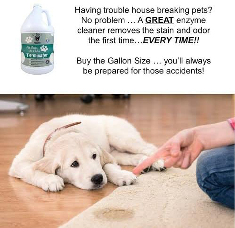 BUBBAS Super Strength Enzyme Cleaner - Pet Odor Eliminator - Carpet Stain Remover - Remove Dog & Cat Urine Odor from Mattress, Sofa, Rug, Laundry, Hardwood Floors and More. Puppy Training Supplies Animals & Pet Supplies > Pet Supplies > Small Animal Supplies > Small Animal Treats BUBBA'S ROWDY FRIENDS   