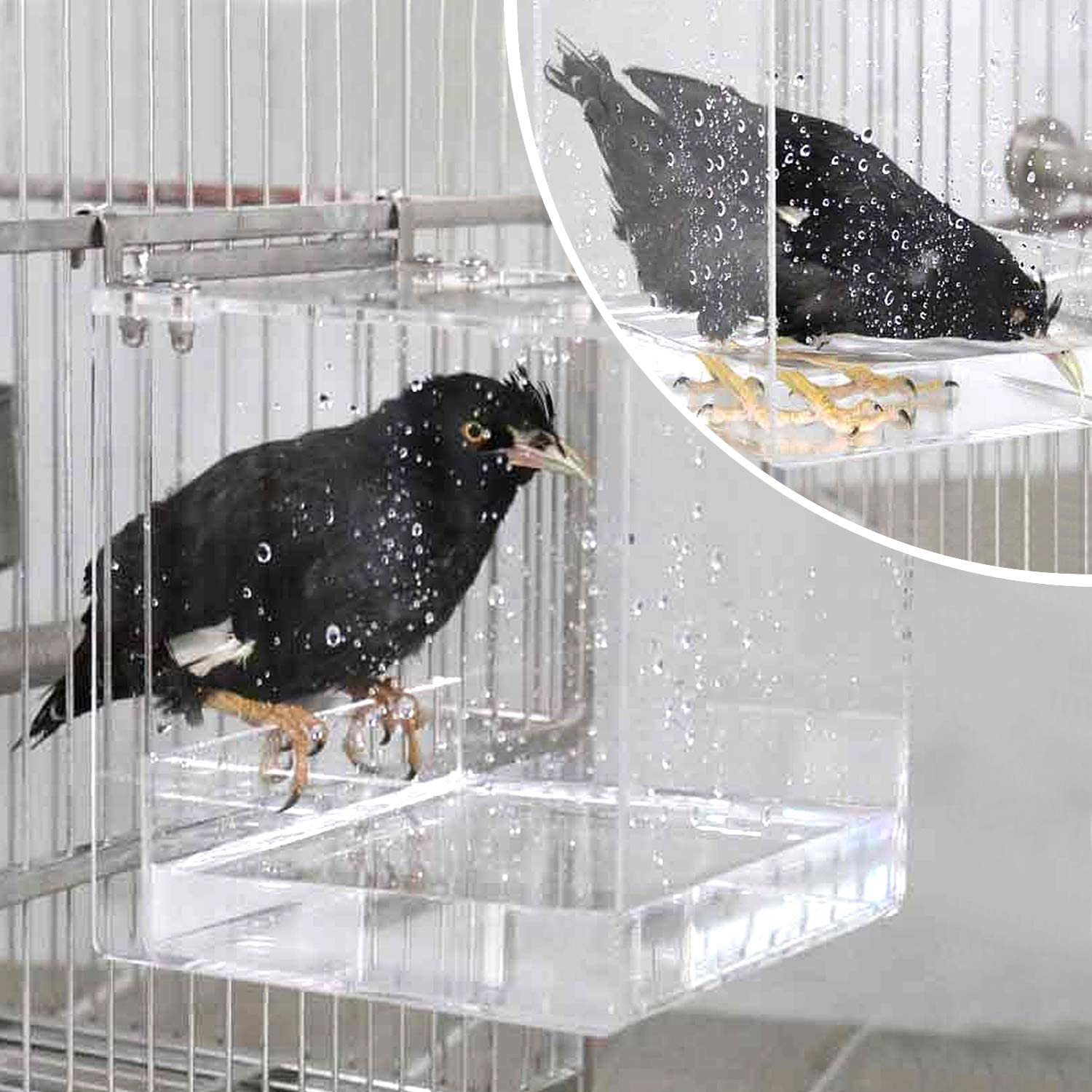 HOSUKKO Bird Bath for Cage Clear Bird Bathtub Parrot Parakeets Shower No Mess Bird Feeder for Cage Bathtub Box for Small Bird Parrot with 4 Hooks Animals & Pet Supplies > Pet Supplies > Bird Supplies > Bird Gyms & Playstands HOSUKKO   