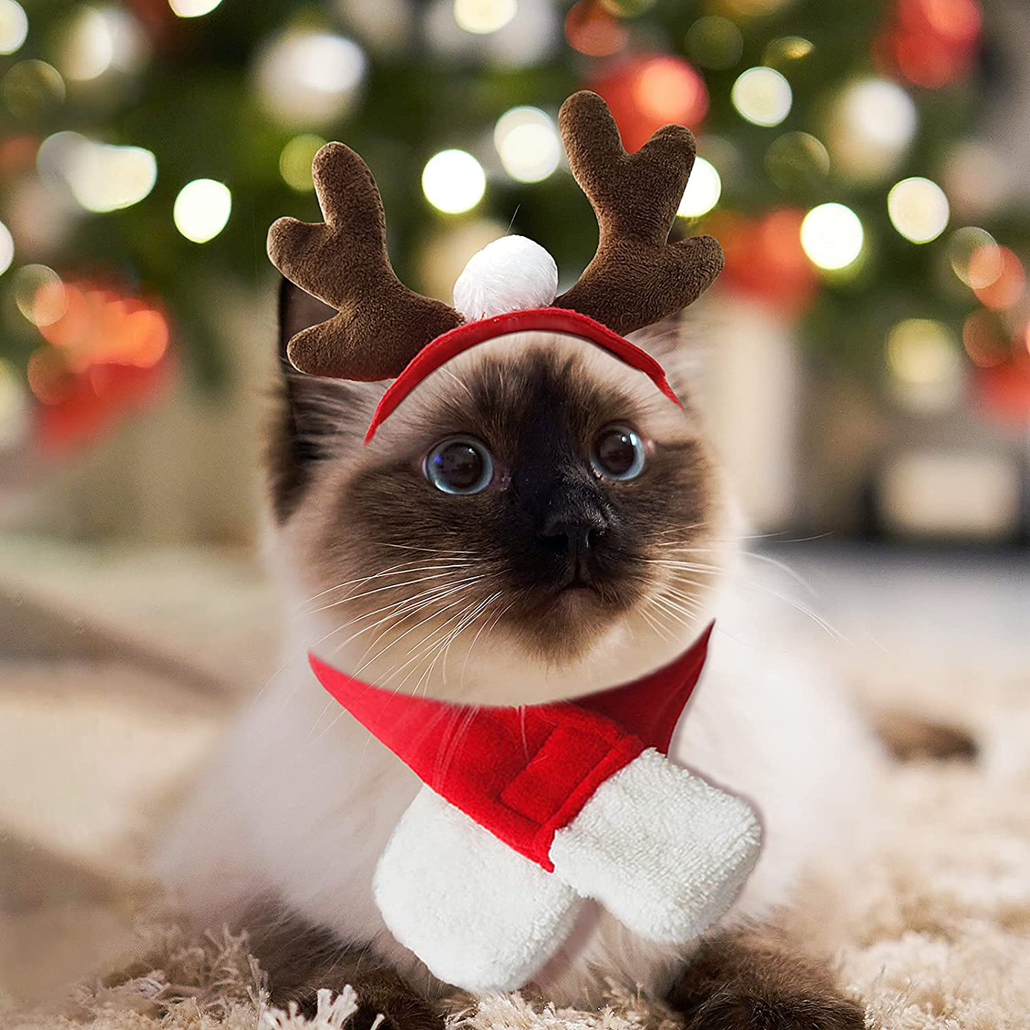 PETLESO Cat Santa Hat with Scarf -Christmas Costume Set Puppy Dog Cat Santa Hat Animals & Pet Supplies > Pet Supplies > Cat Supplies > Cat Apparel PETLESO Christmas antlers  