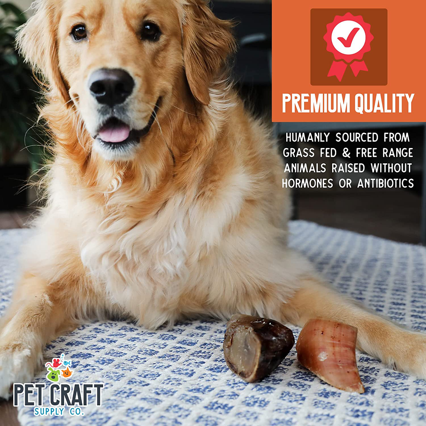 Pet Craft Supply All Natural Healthy Beef Hooves Bones Dog Chews Treats for Aggressive Chewers Long Lasting Rawhide Free Made in USA Premium Slow Roasted for Puppies Small Medium Large Dogs 10 Pack Animals & Pet Supplies > Pet Supplies > Small Animal Supplies > Small Animal Treats Pet Craft Supply   