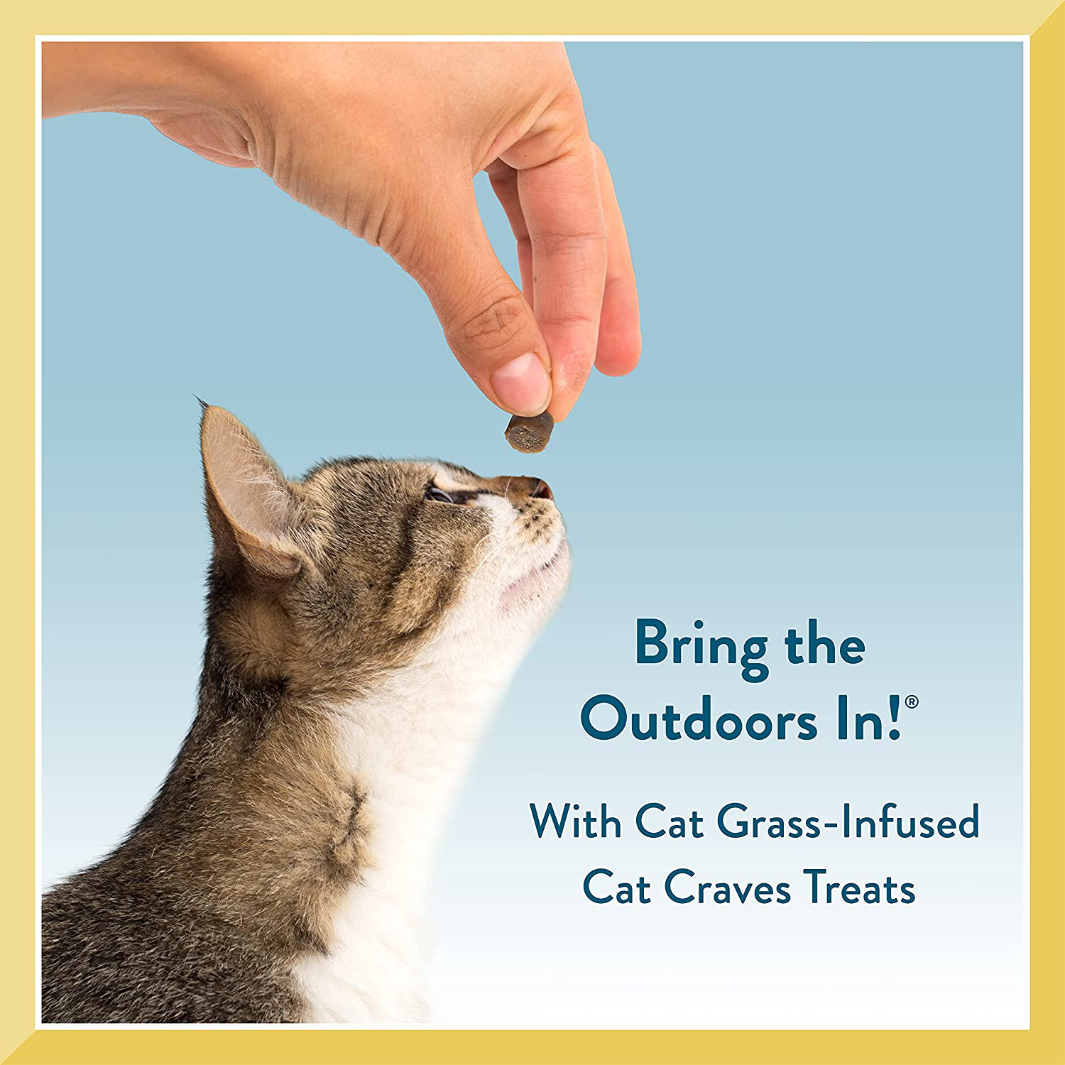 Pet Greens Semi-Moist Cat Craves Treats Animals & Pet Supplies > Pet Supplies > Cat Supplies > Cat Treats Pet Greens   