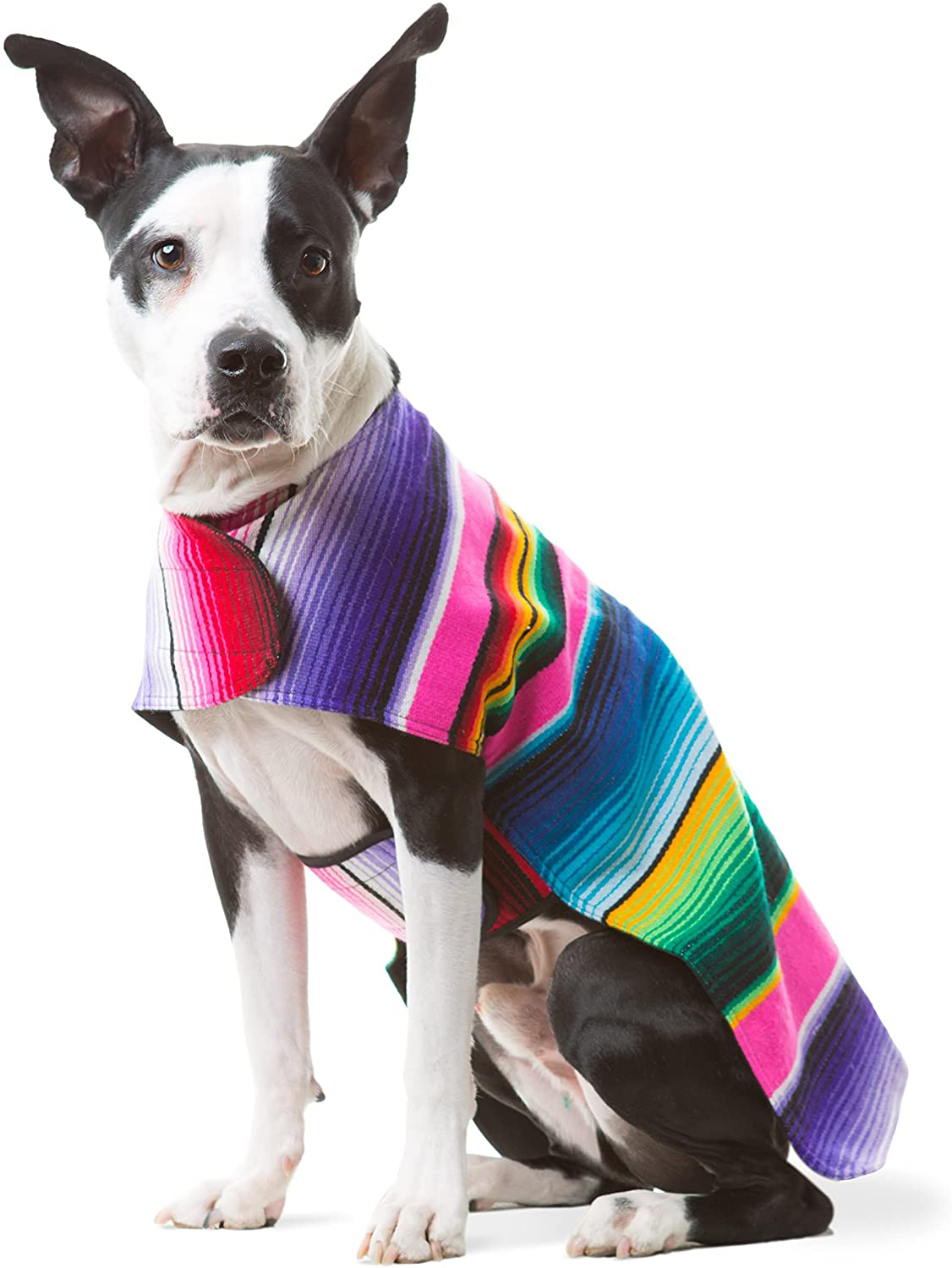 Handmade Dog Poncho from Mexican Serape Blanket Southwestern and