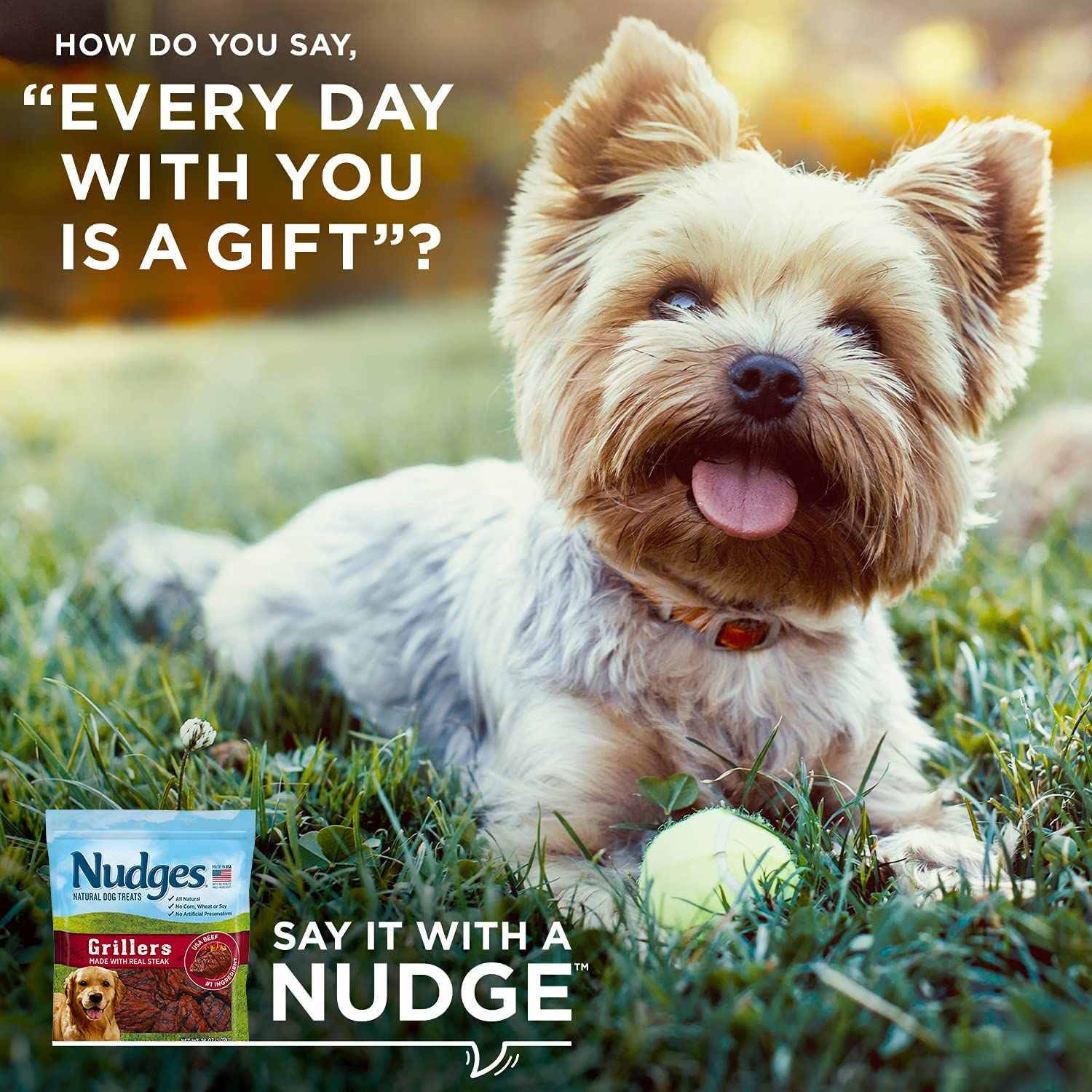 Nudges Dog Treats Animals & Pet Supplies > Pet Supplies > Small Animal Supplies > Small Animal Treats Nudges   