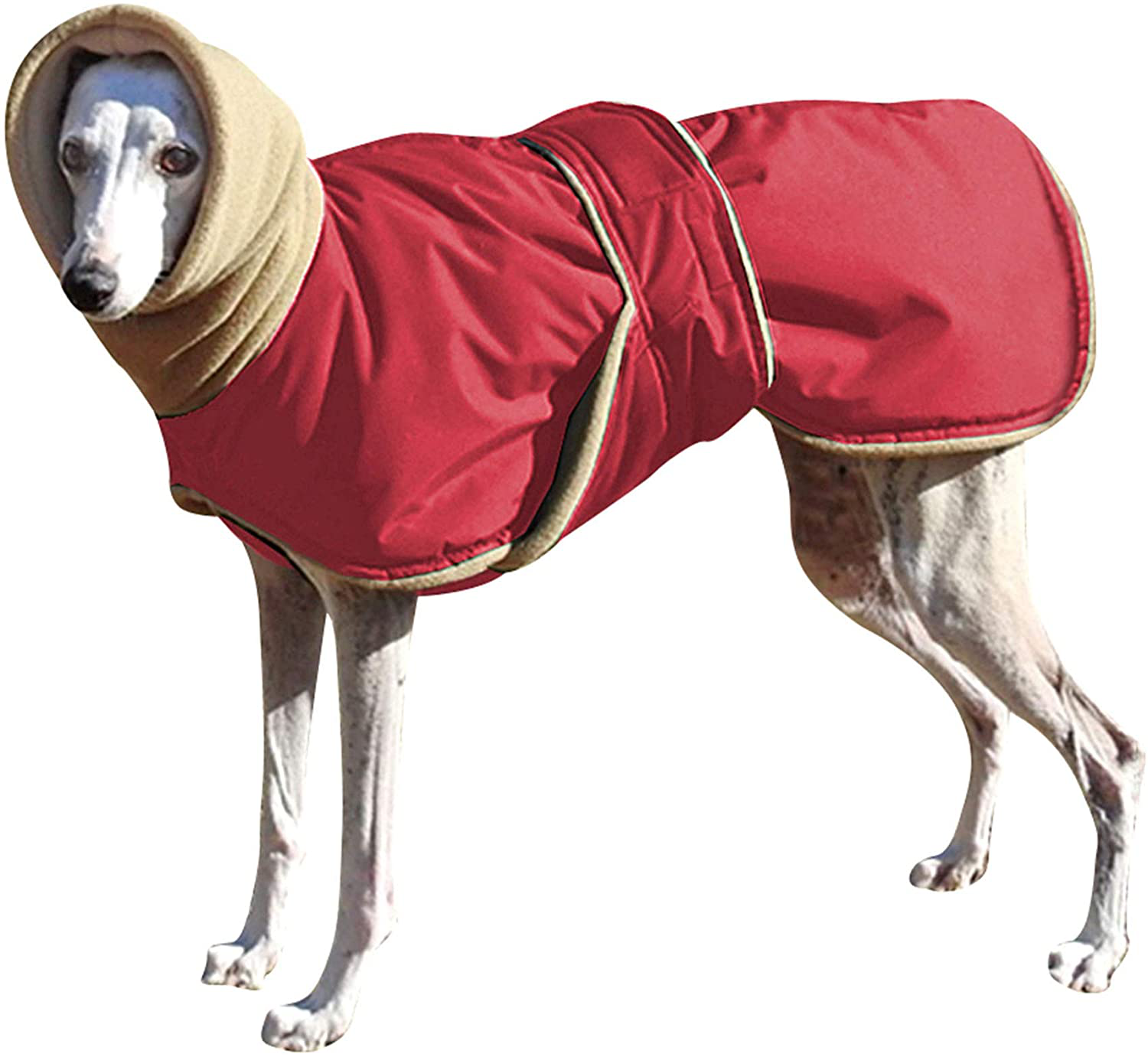 Didog Waterproof Dog Winter Jacket with Turtleneck Scarf,Pets Cold Weather Coats with Soft Warm Fleece Lining,Windproof Snowsuit Outdoor Apparel for Medium Large Dogs Animals & Pet Supplies > Pet Supplies > Dog Supplies > Dog Apparel Didog Red Chest:23.5-31.5" Back Length:23.5" 