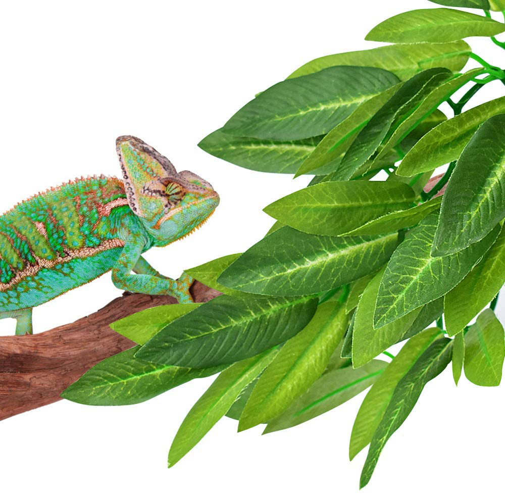 KATUMO Reptile Plants, Amphibian Hanging Plants with Suction Cup for Lizards, Geckos, Bearded Dragons, Snake, Hermit Crab Tank Pets Habitat Decorations Animals & Pet Supplies > Pet Supplies > Reptile & Amphibian Supplies > Reptile & Amphibian Habitat Accessories KATUMO   