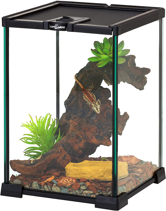 REPTIZOO Mini Reptile Glass Terrarium Tank 8" X 8" X 12" Full View Visually Appealing Top Feeding & Venlitation Small Reptile Glass Habitat Animals & Pet Supplies > Pet Supplies > Small Animal Supplies > Small Animal Habitat Accessories REPTIZOO   