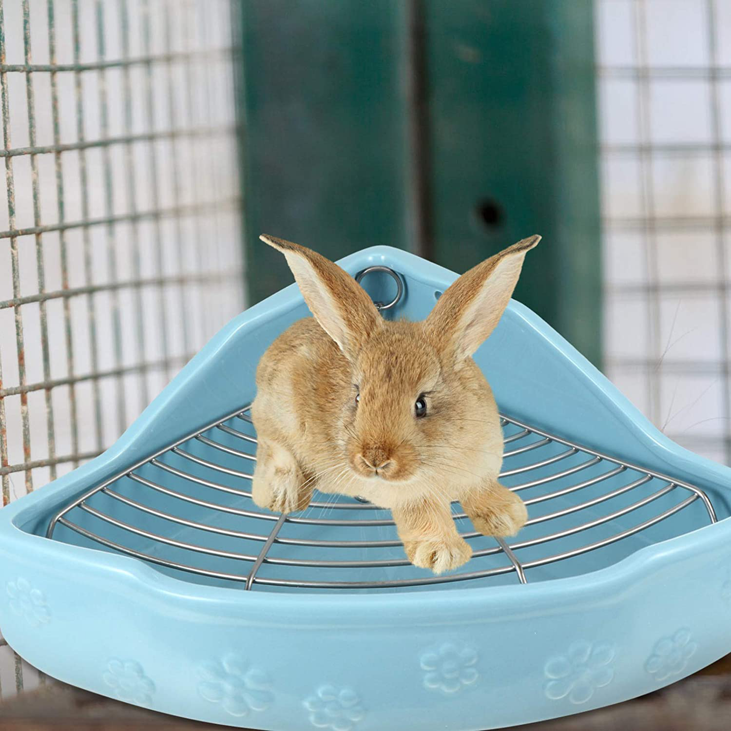 Balacoo Small Animal Litter Cage Ceramic Triangle Potty Trainer Corner Litter Bedding Box Pet Pan for Rabbit Bunny Chinchilla Ferret Guinea Pig Hamster Animals & Pet Supplies > Pet Supplies > Small Animal Supplies > Small Animal Bedding balacoo   