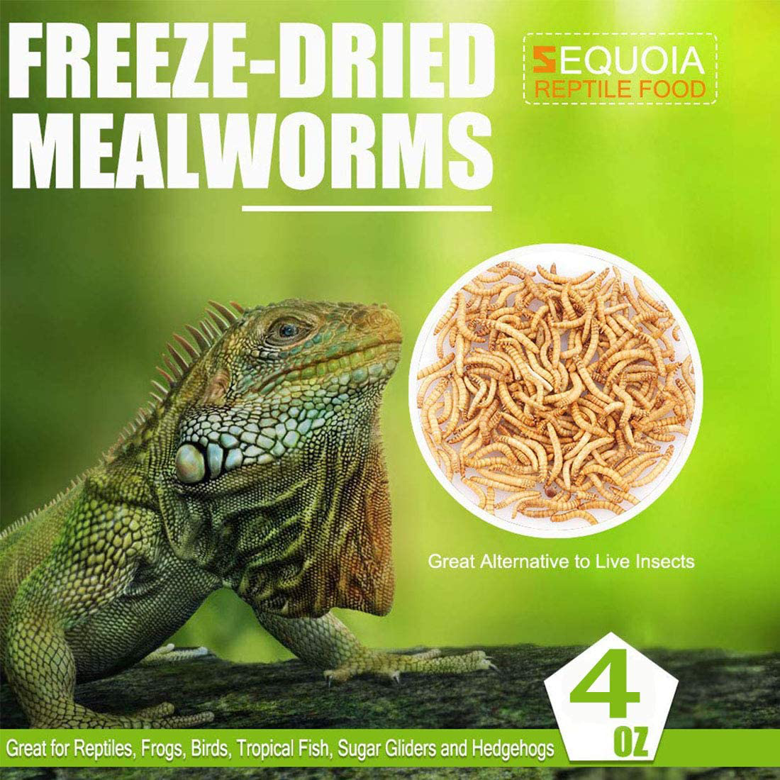 Reptile Food Freeze Dried Mealworms Pet Worms Food for Bearded Dragon, Lizard, Turtles, Chameleon, Monitor, Frog, Birds, Fish, Hamsters and Hedgehogs Animals & Pet Supplies > Pet Supplies > Reptile & Amphibian Supplies > Reptile & Amphibian Food Sequoia   