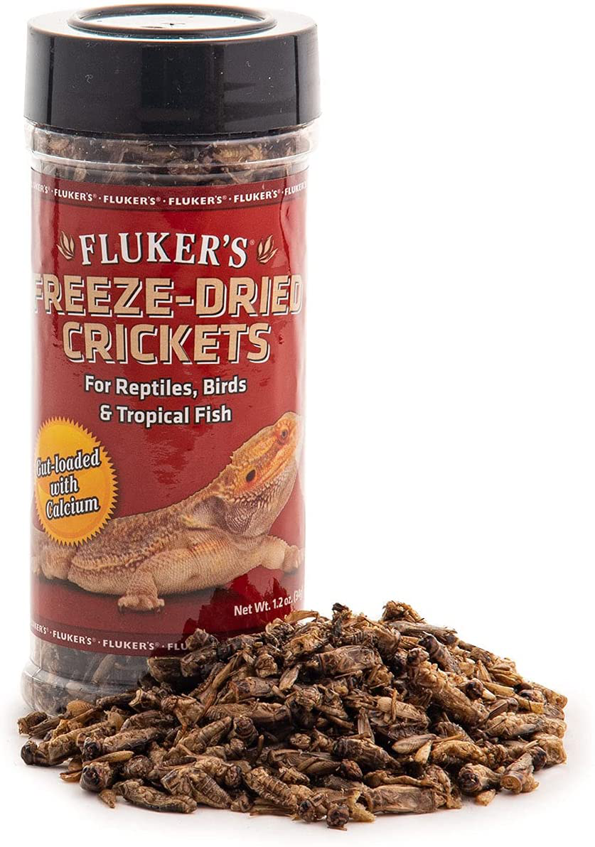 Freeze Dried Crickets, 1.2Oz Animals & Pet Supplies > Pet Supplies > Reptile & Amphibian Supplies > Reptile & Amphibian Food Fluker's   