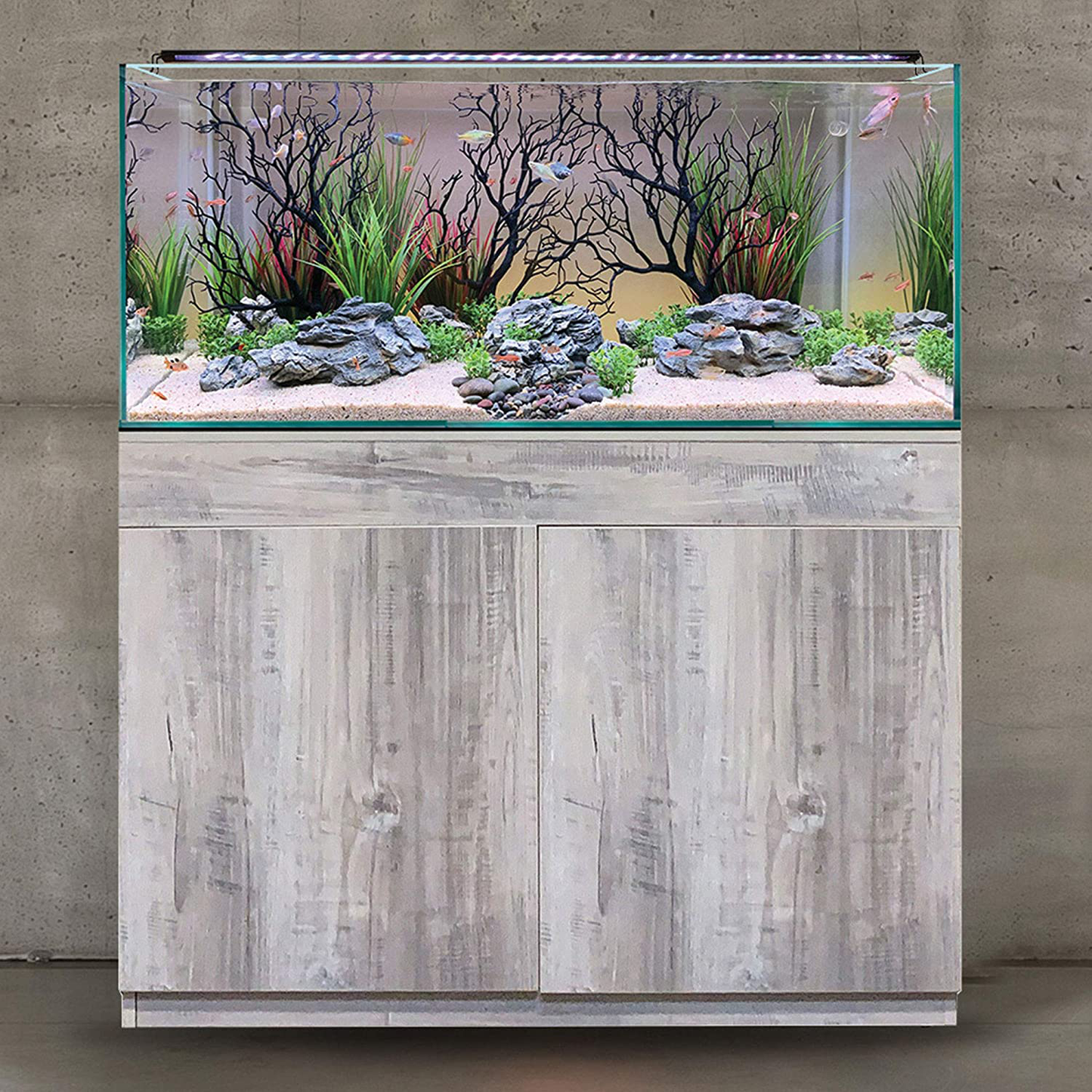 CURRENT USA Manzanita Branch 22-Inch Tall with Weighted Base, Molded Aquarium Décor Animals & Pet Supplies > Pet Supplies > Fish Supplies > Aquarium Decor CURRENT   