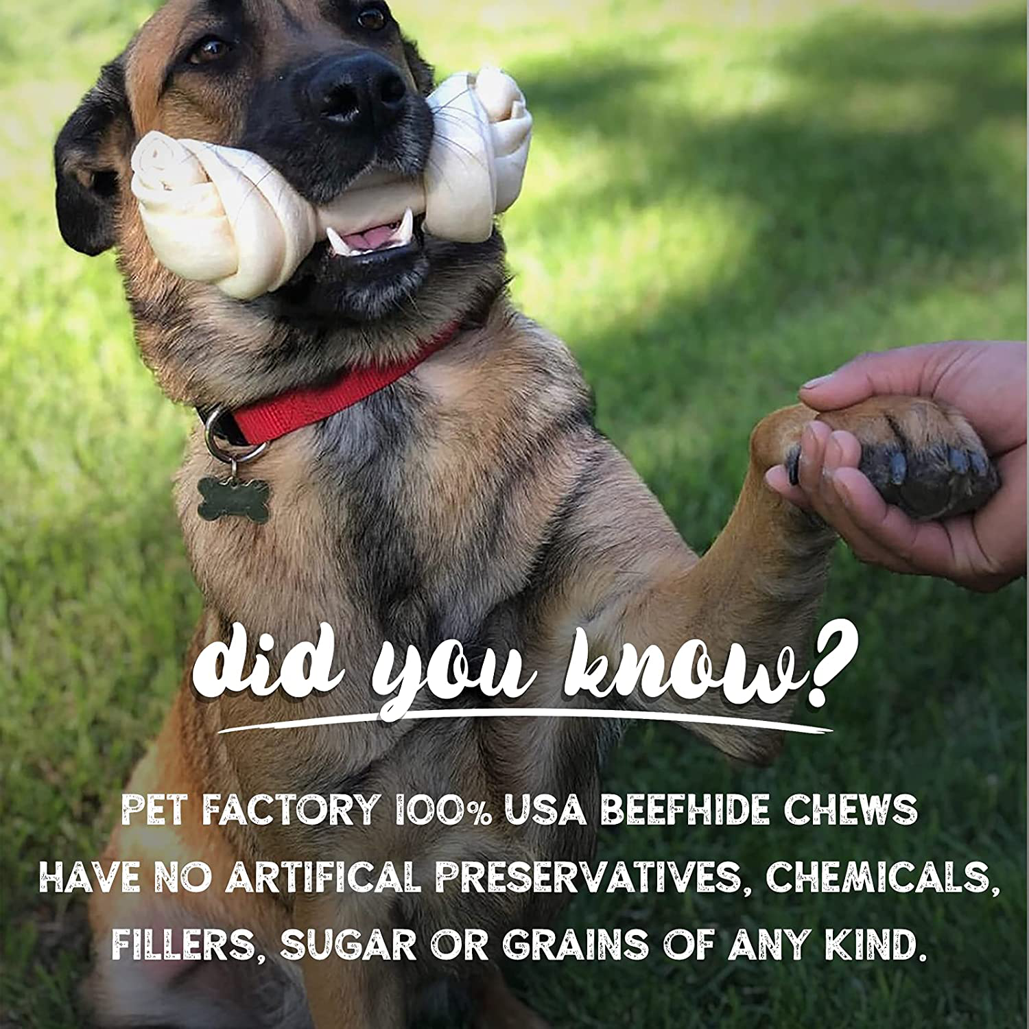 Pet Factory Beefhide | Dog Chews, 99% Digestive, Rawhides to Keep Dogs Busy While Enjoying, 100% Flavored Braids, Made in USA Animals & Pet Supplies > Pet Supplies > Dog Supplies > Dog Treats Pet Factory   