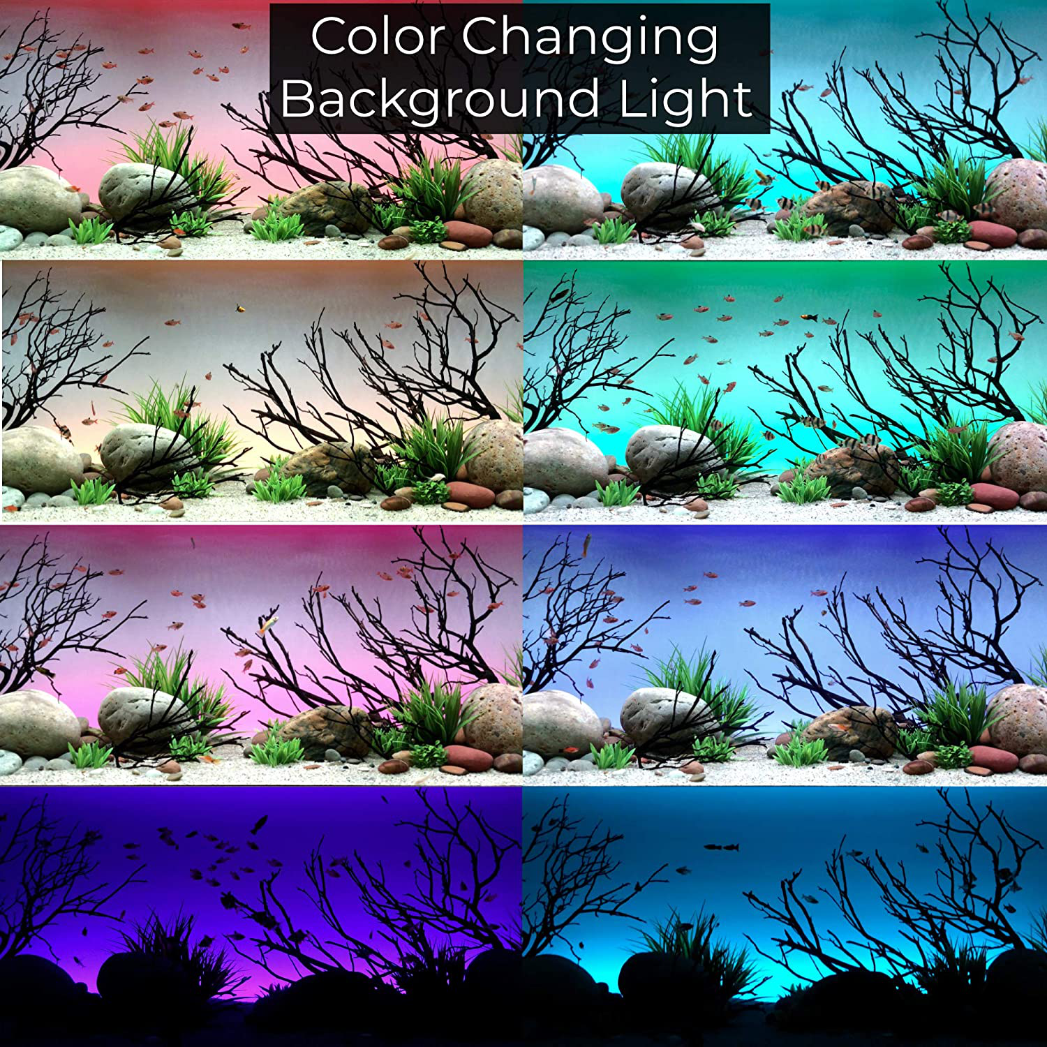 Current USA Serene Add-On Accessory LED Background Light Kit | Includes Frosted Background Glass Film and RGB LED Light Strip | Requires Serene Controller Animals & Pet Supplies > Pet Supplies > Fish Supplies > Aquarium Lighting Current USA   