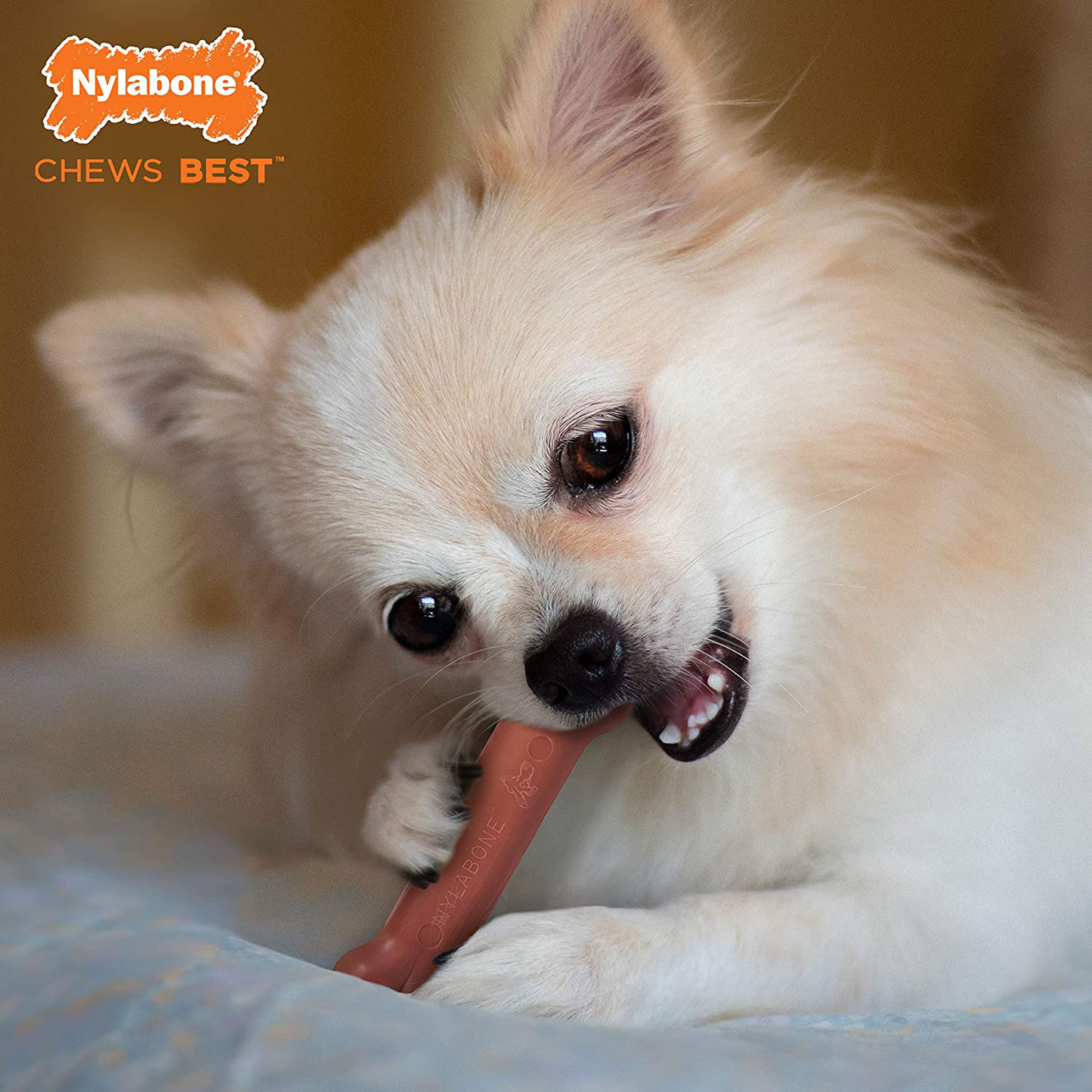 Nylabone Power Chew Dog Bones for Aggressive Chewers Tough Chew Toys for Dogs Animals & Pet Supplies > Pet Supplies > Dog Supplies > Dog Toys Nylabone   