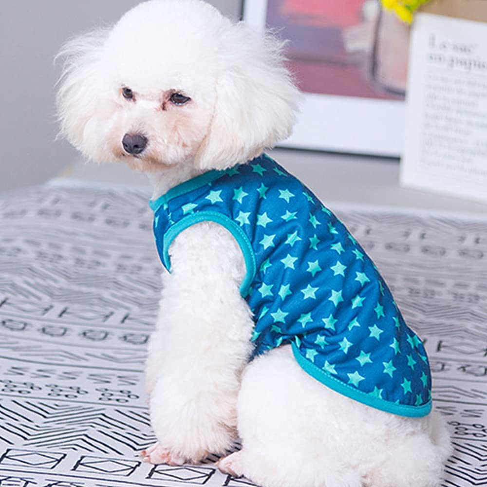 Little dog outfits best sale