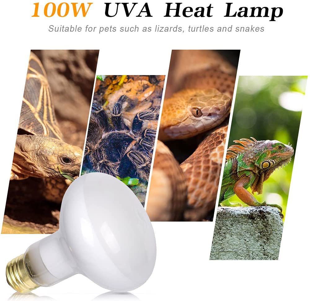 Basking Bulb for Bearded Dragon, 100W UVA Reptile Heat Lamp Soft White Light Glass Bulb Turtle Light Infrared Light Basking Heat Lamps Outdoor for Pet/Amphibian/Lizard(2Pack)