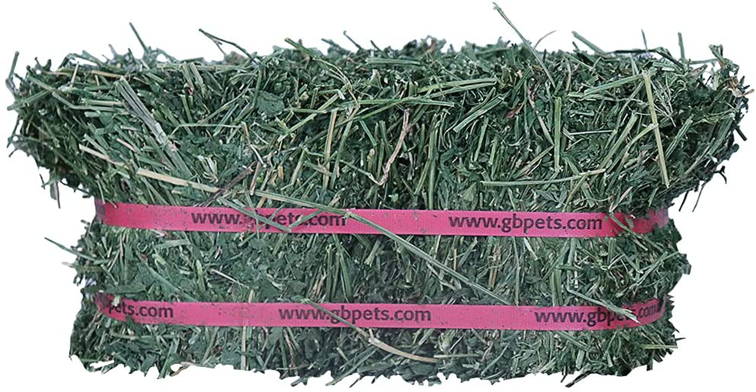 Grandpa'S Best Alfalfa Hay, 40 Oz Animals & Pet Supplies > Pet Supplies > Small Animal Supplies > Small Animal Food Grandpa's Best   