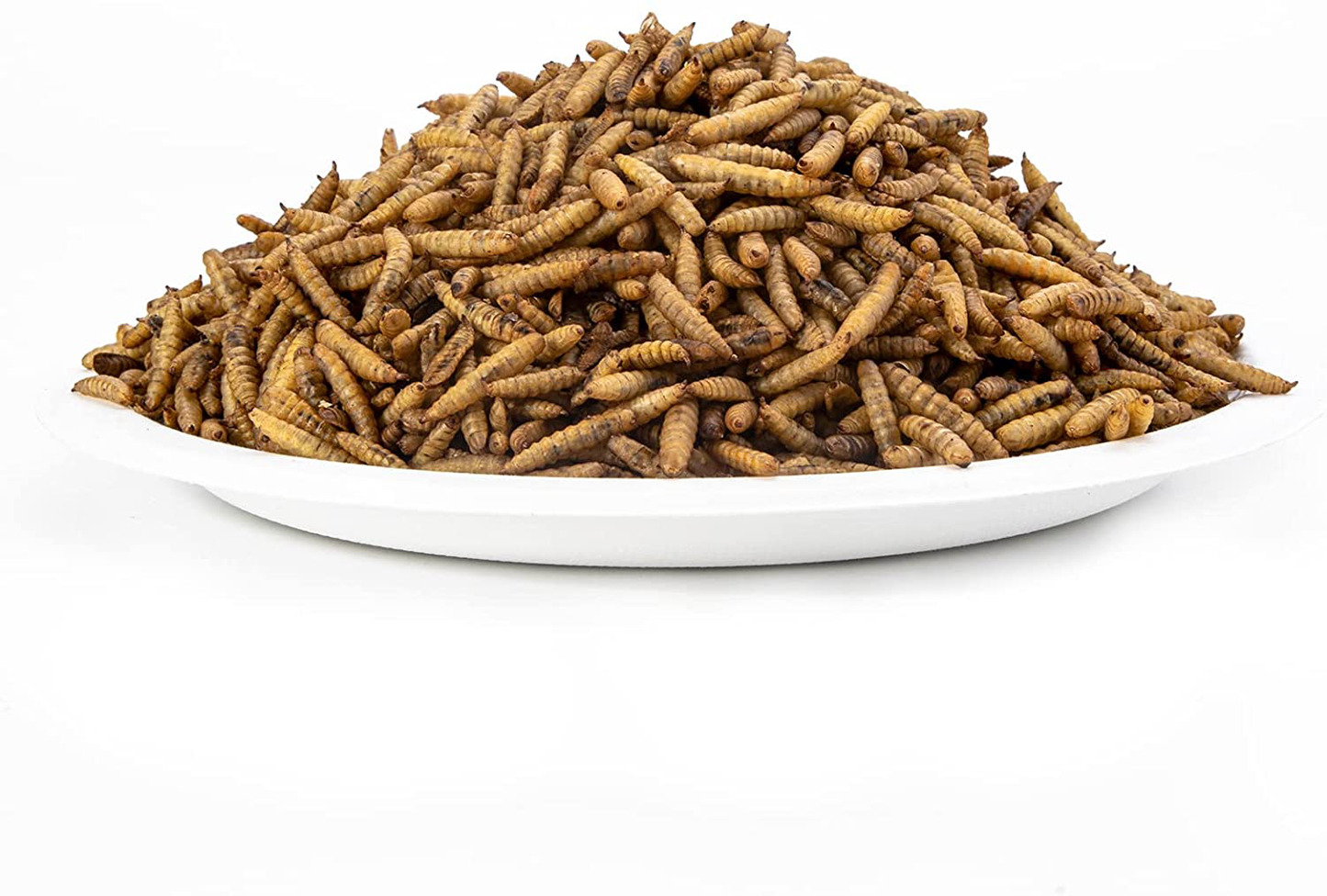 GOLDWORMS Superior to Dried Mealworms for Chickens - Non-Gmo Dried Black Soldier Fly Larvae - 85X More Calcium than Meal Worms - BSF Larvae Treats for Wild Birds, Hens, Ducks, Reptiles Animals & Pet Supplies > Pet Supplies > Bird Supplies > Bird Treats GOLDWORMS   