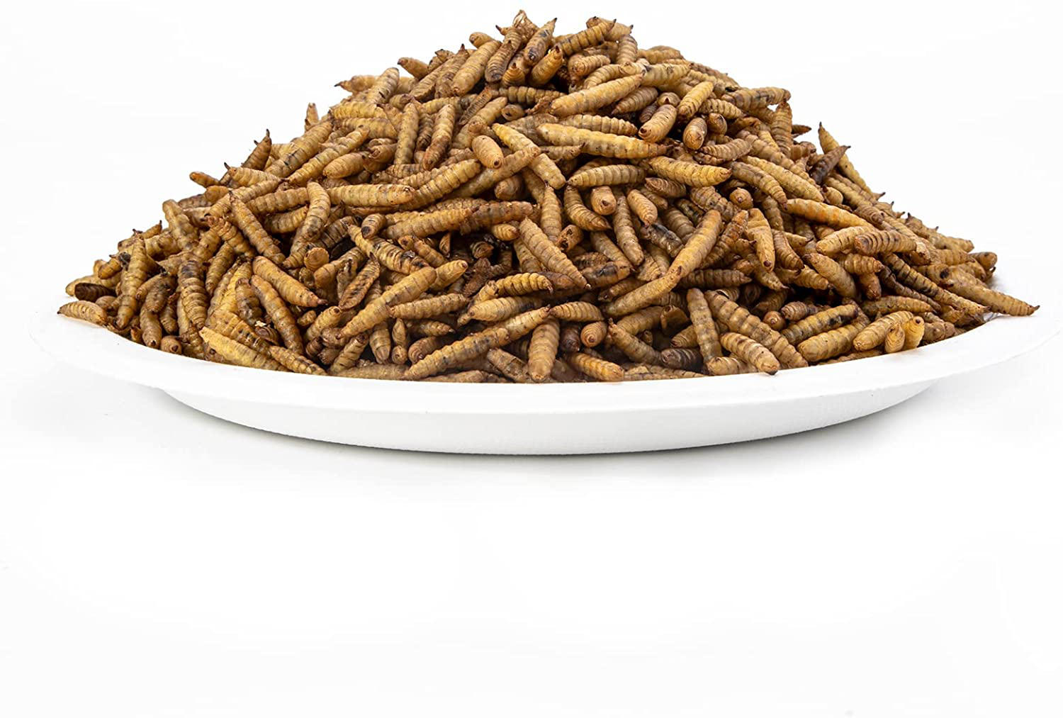 GOLDWORMS Superior to Dried Mealworms for Chickens - Non-Gmo Dried Black Soldier Fly Larvae - 85X More Calcium than Meal Worms - BSF Larvae Treats for Wild Birds, Hens, Ducks, Reptiles