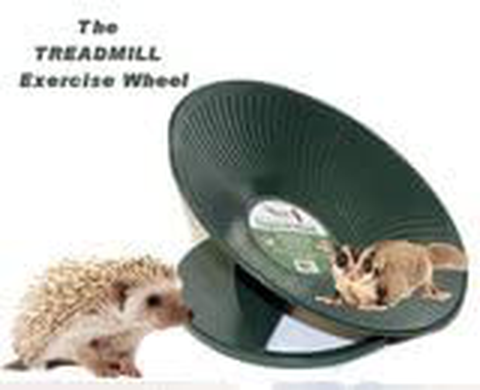 Chinchilla, Hedgehog, Prairie Dog Heavy Metal Treadmill Exercise Wheel 14" Diameter Green Animals & Pet Supplies > Pet Supplies > Dog Supplies > Dog Treadmills Unknown   