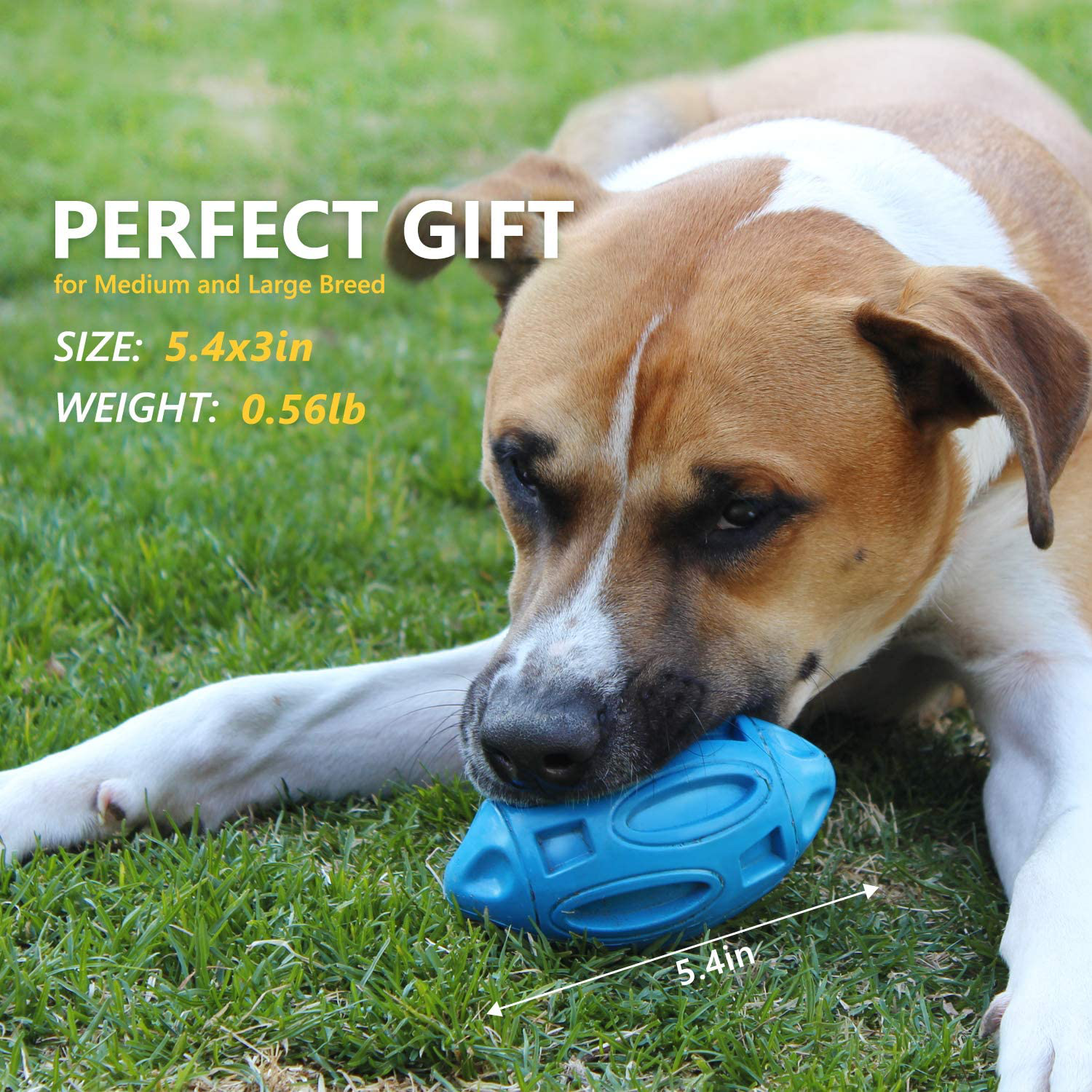 EASTBLUE Squeaky Dog Toys for Aggressive Chewers: Rubber Puppy Chew Ball with Squeaker, Almost Indestructible and Durable Pet Toy for Medium and Large Breed Animals & Pet Supplies > Pet Supplies > Dog Supplies > Dog Toys EASTBLUE   