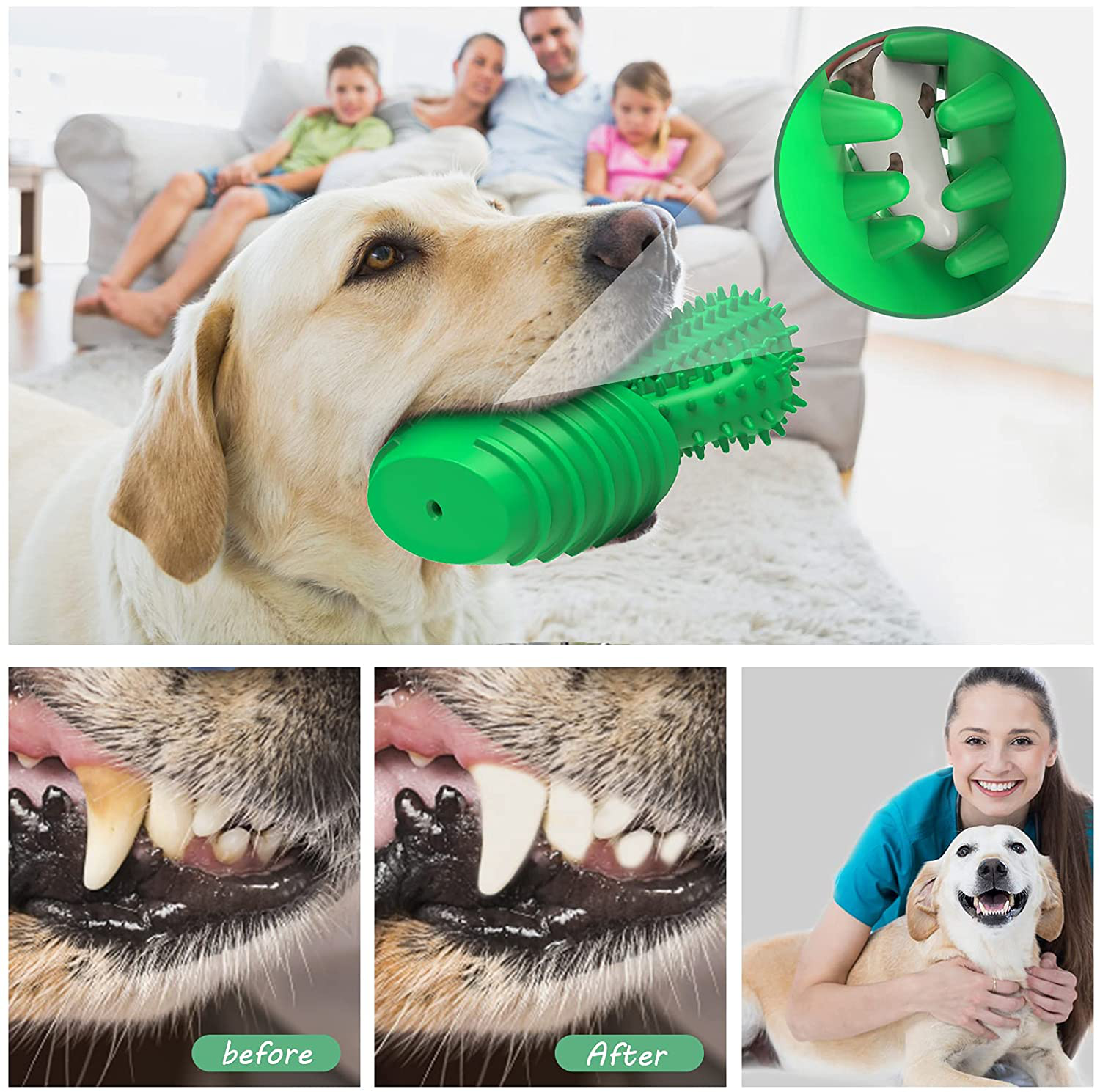 Dog Chew Toys Dog Toothbrush Stick Teeth Cleaning Brush Dental for Small Medium Large Dog, Rubber Dog Squeaky Toys for Aggressive Chewers Cactus Tough Toys Interactive for Training Cleaning Teeth Animals & Pet Supplies > Pet Supplies > Dog Supplies > Dog Toys Pamlulu   
