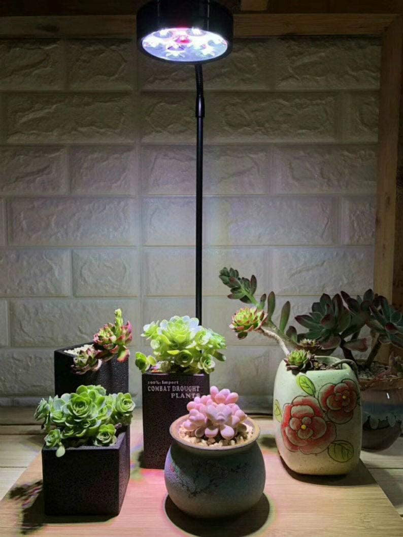 Full Spectrum LED Light with Bamboo Board, Fits Aquarium Nano Tank, Betta Fish Tank, Potted Plants, Succulent, Miniature Landscape Animals & Pet Supplies > Pet Supplies > Fish Supplies > Aquarium Lighting HIRO AQUATICS   