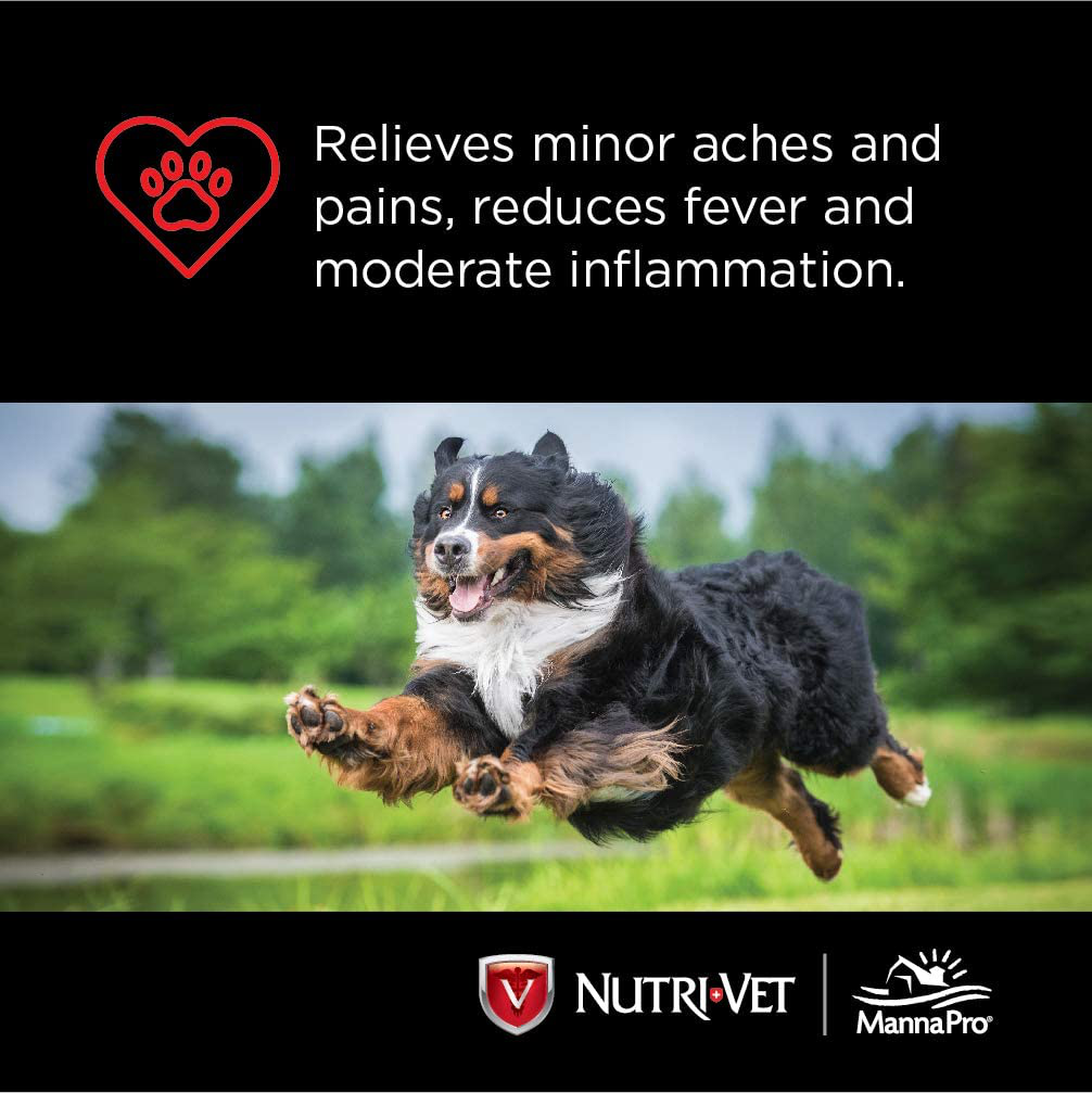 Nutri-Vet Aspirin Chewables for Large Dogs, 75 Count - Pack of 2 Animals & Pet Supplies > Pet Supplies > Bird Supplies > Bird Treats Nutri-Vet   