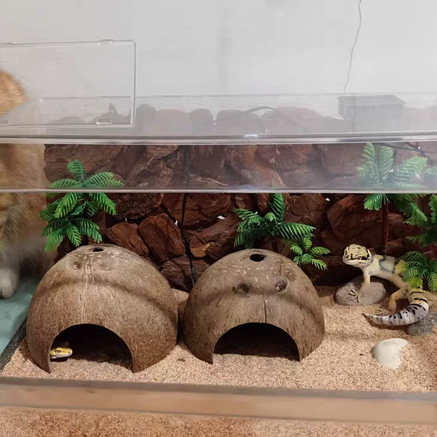 Hamiledyi Reptile Hideouts Natural Coconut Shells Hut Small Animal Hide Cave Hermit Crab Climbing Toys Lizard Habitat Decor Plant Leaves Decoration for Gecko Spider Snake Chameleon (4Pcs) Animals & Pet Supplies > Pet Supplies > Small Animal Supplies > Small Animal Habitat Accessories Hamiledyi   