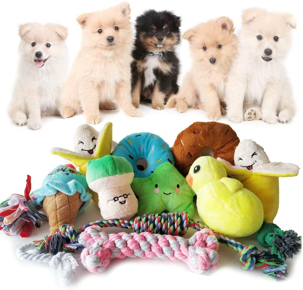 Senyoung Dog Toys,12 Pack Dog Squeaky Rope Chew Toy Sets, Interactive Cute and Stuffed Plush Squeaker Toys, Tough Puppy Teething Cotton Tug Soft Toys, Puppy Toys Small, for Small / Medium Dog Toys Animals & Pet Supplies > Pet Supplies > Dog Supplies > Dog Toys SenYoung   