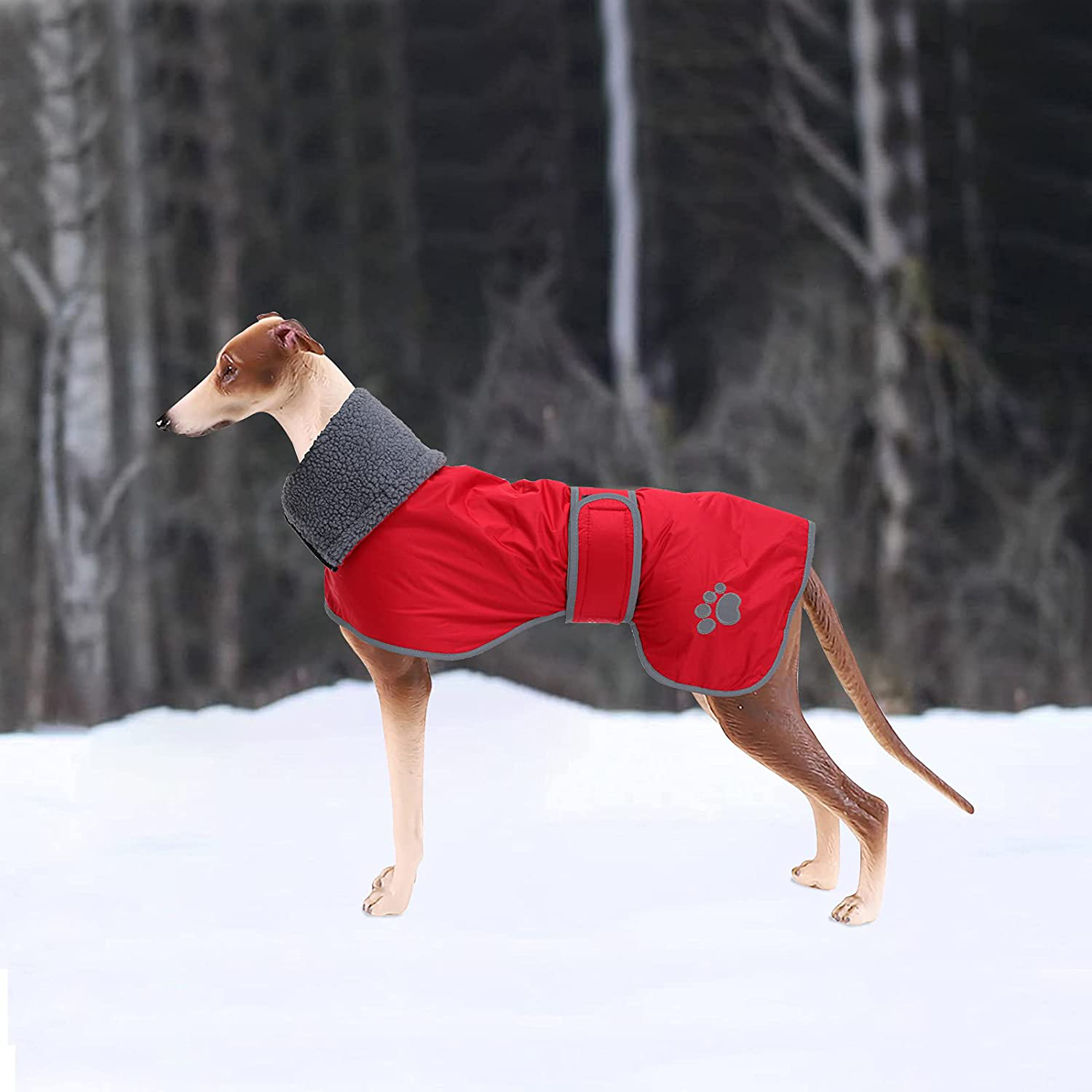 Greyhound 2024 indoor coat