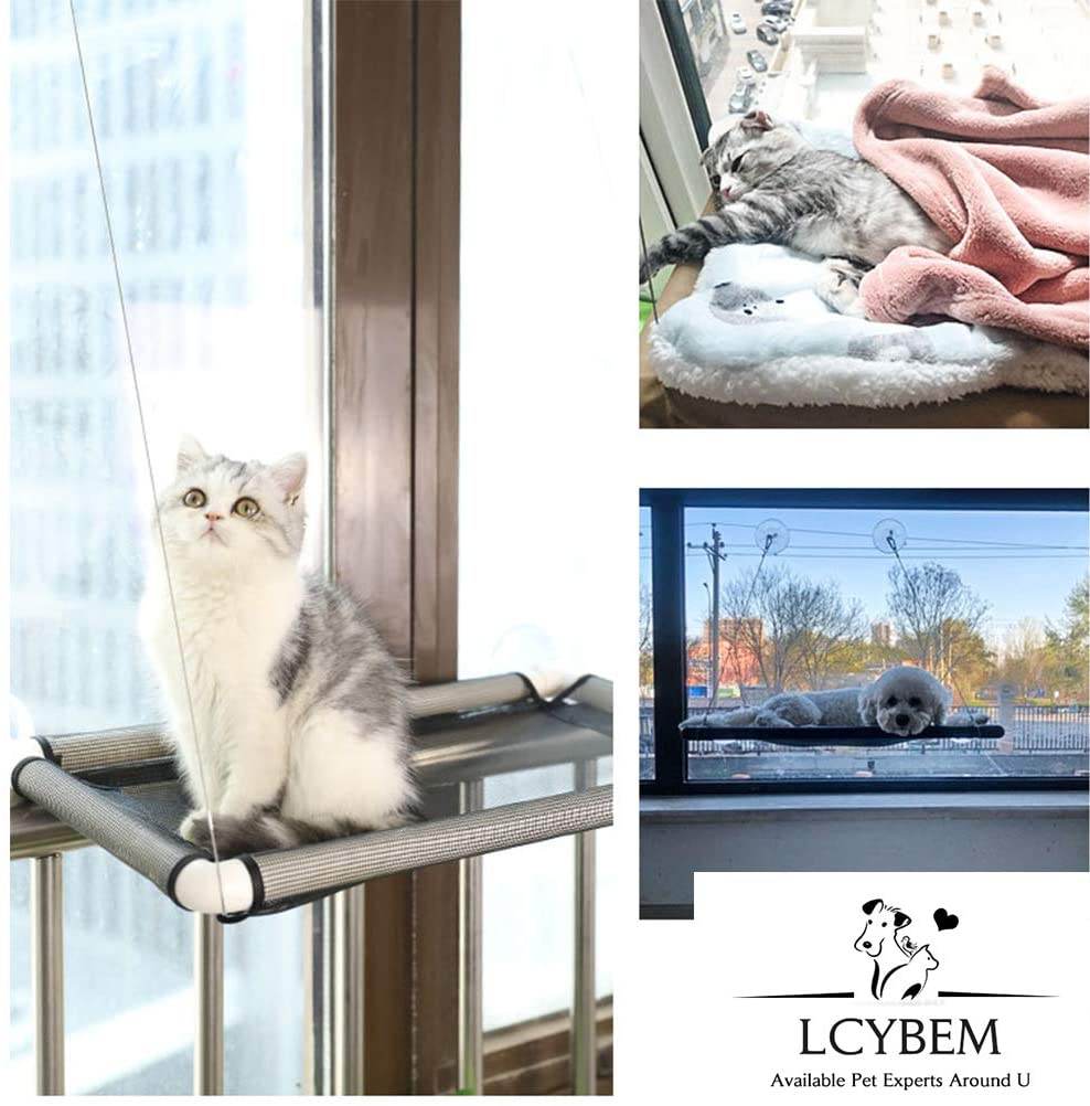 Lcybem Cat Window Perch - Cat Hammocks for Window with Plush Pad, Space Saving Cat Bed, Pet Resting Seat Safety Holds Two Large Cats, Providing All around 360° Sunbathe for Indoor