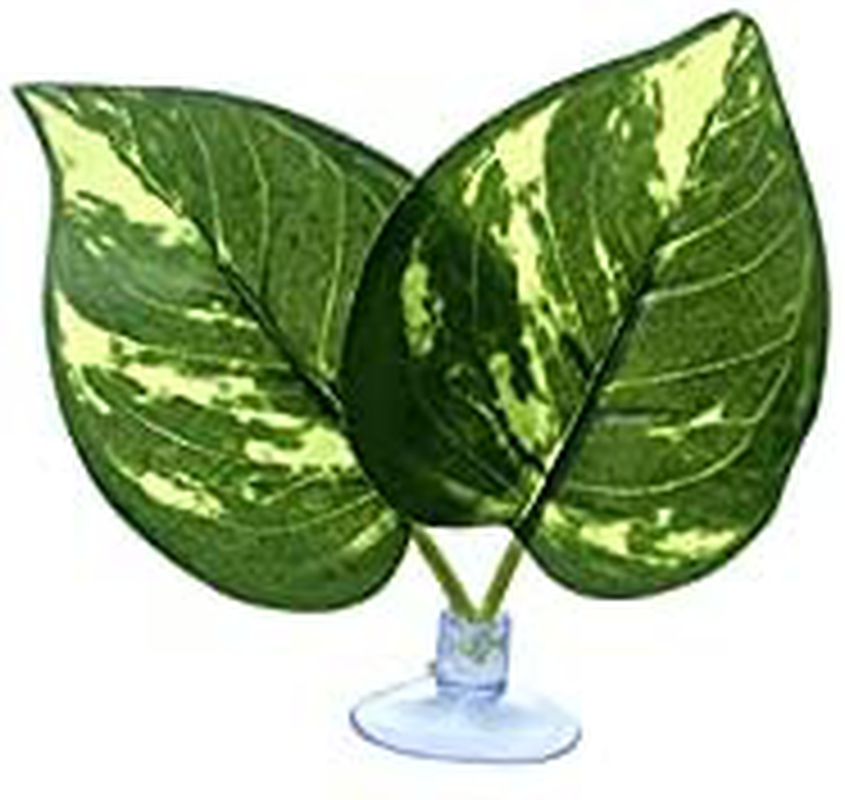 Reptile Silk Plant Leaves with Suction Cups Andwater Licking Leaves Terrarium Habitat Aquarium Amphibian Accessories, (5) (5) (S) (M) Animals & Pet Supplies > Pet Supplies > Reptile & Amphibian Supplies > Reptile & Amphibian Habitat Accessories Qiulogfen   