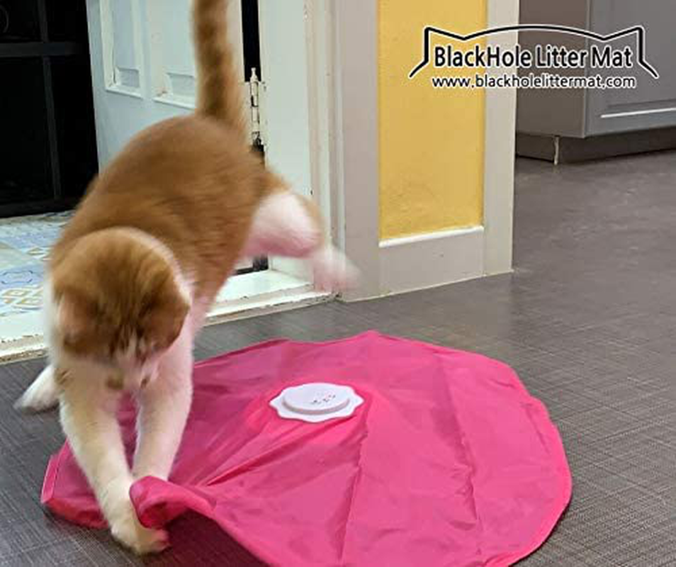 Blackhole Catch the Tail Cat Toy- Rotating, Electronic, Motion, Automatic, Best Undercover Mouse under Blanket Cat Toy Animals & Pet Supplies > Pet Supplies > Cat Supplies > Cat Toys BlackHole Litter Mat   