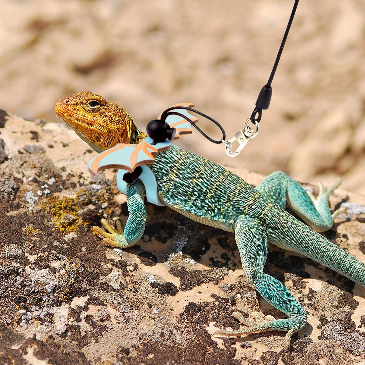 G.CORE Bearded Dragon Leash and Harness Adjustable Leather Wings Costume Carrier from Baby to Juvenile Lizard Iguana Gecko Chameleon Hamster Ferret Reptile Walking Leash S M L 3 Pack Animals & Pet Supplies > Pet Supplies > Reptile & Amphibian Supplies > Reptile & Amphibian Substrates G.CORE   