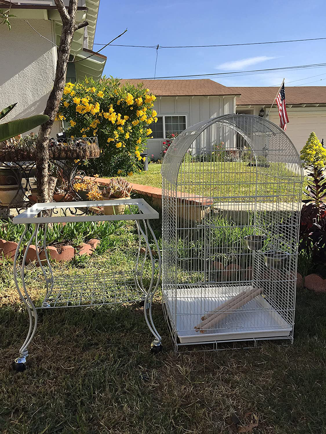 Mcage Bird Parrot Cage Cockatiel Amazon African Grey Caique Conure, 20 X 20 X 65 H Animals & Pet Supplies > Pet Supplies > Bird Supplies > Bird Cages & Stands Mcage   