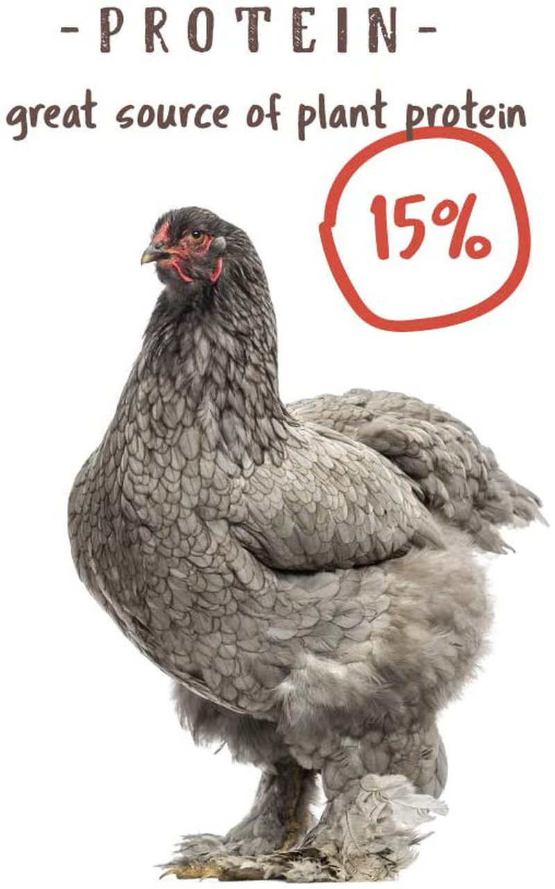 Manna Pro Chicken Treats | Harvest Delight Chicken Scratch | Chicken Feed Treat | Chicken Scratch Feed | 2.5 Pounds Animals & Pet Supplies > Pet Supplies > Bird Supplies > Bird Treats Manna Pro   