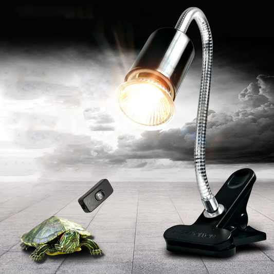 PROKTH Clamp Lamp Fixture for Reptiles, Adjustable Habitat Lighting Heat Lamps Holder Stand for Reptiles, Tortoise, Amphibians, Birds, Fish, Mammals Animals & Pet Supplies > Pet Supplies > Reptile & Amphibian Supplies > Reptile & Amphibian Habitat Heating & Lighting PROKTH Lamps Holder Stand  