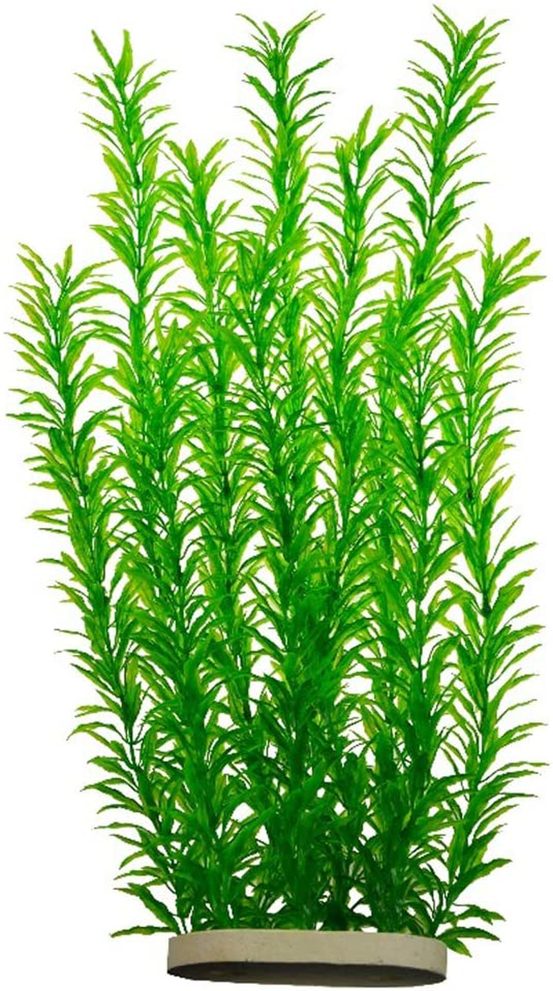 Lantian Green Grass Cluster Aquarium Décor Plastic Plants 21 Inches Tall CH0701 Animals & Pet Supplies > Pet Supplies > Fish Supplies > Aquarium Decor Lantian   