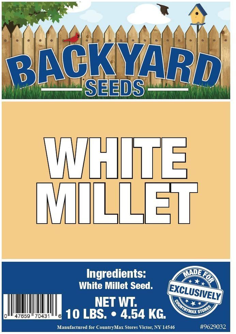 Backyard Seeds White Millet Bird Seed for Finches 8 Pounds Animals & Pet Supplies > Pet Supplies > Bird Supplies > Bird Food CountryMax   