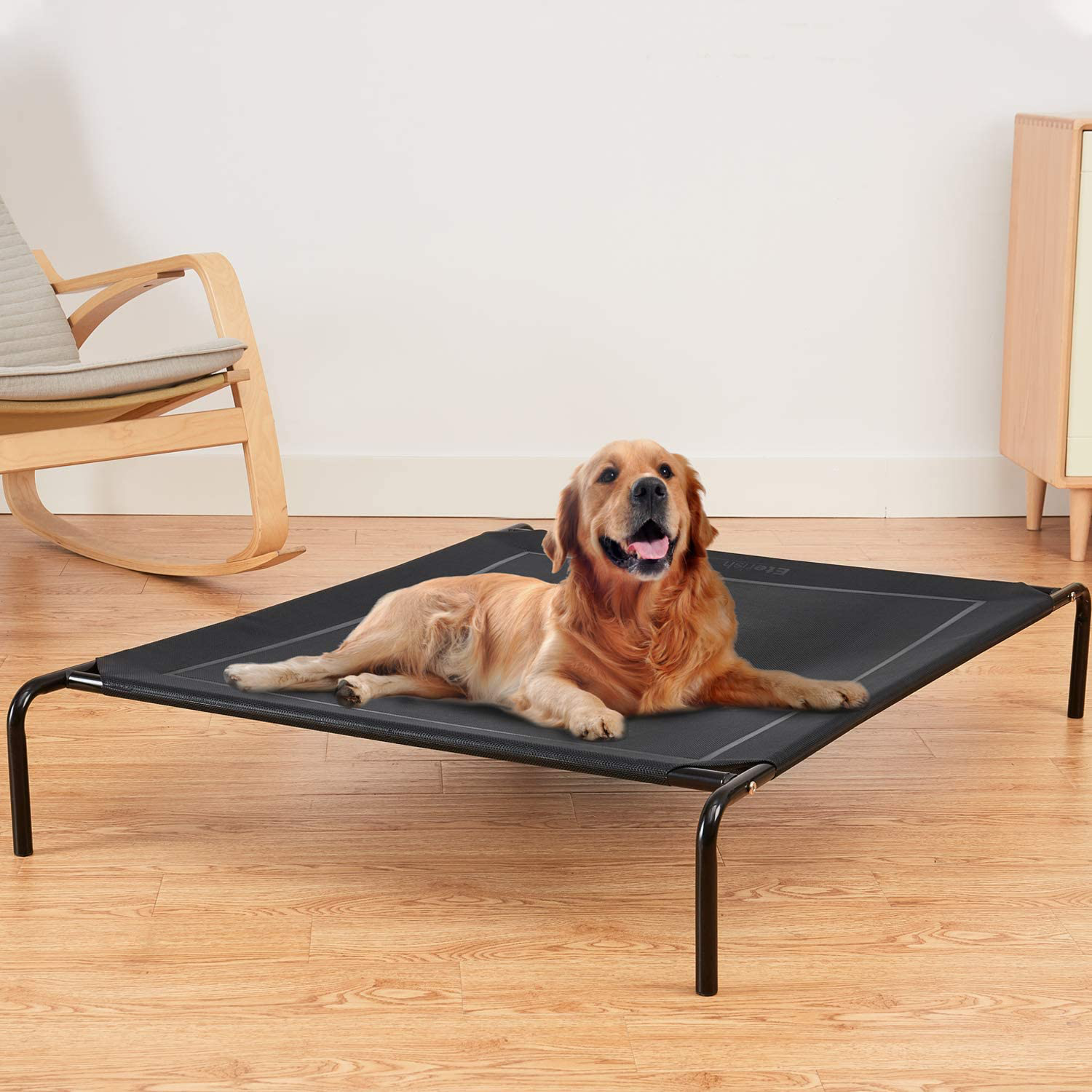 Rubber dog hot sale bed