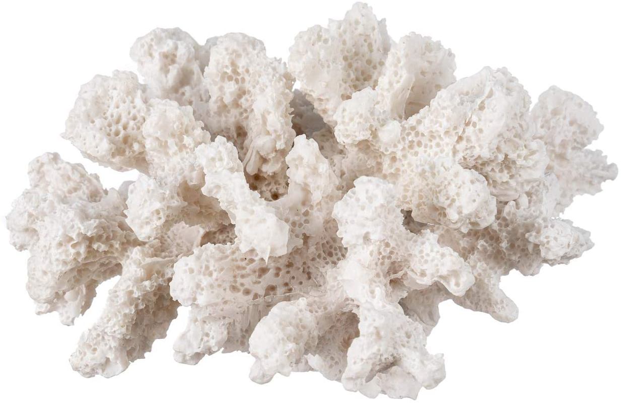 Nautical Crush Trading Decorative Sea Coral - 4In X 3.5In X 2.5In - Small White Coral for Beachy Decor - Perfect for Aquariums - Fish Tanks Animals & Pet Supplies > Pet Supplies > Fish Supplies > Aquarium Decor Nautical Crush Trading   