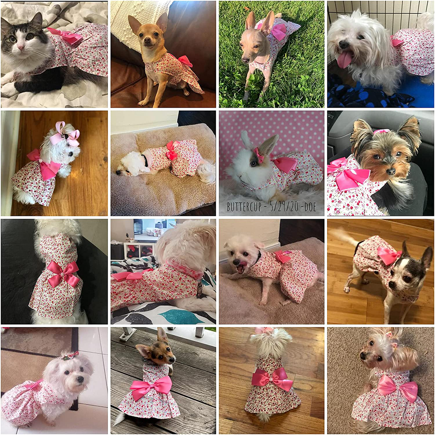 Petroom Puppy Dog Dress,Thin Cute Floral Princess Ribbon Skirt for Small Dogs Cats for Summer