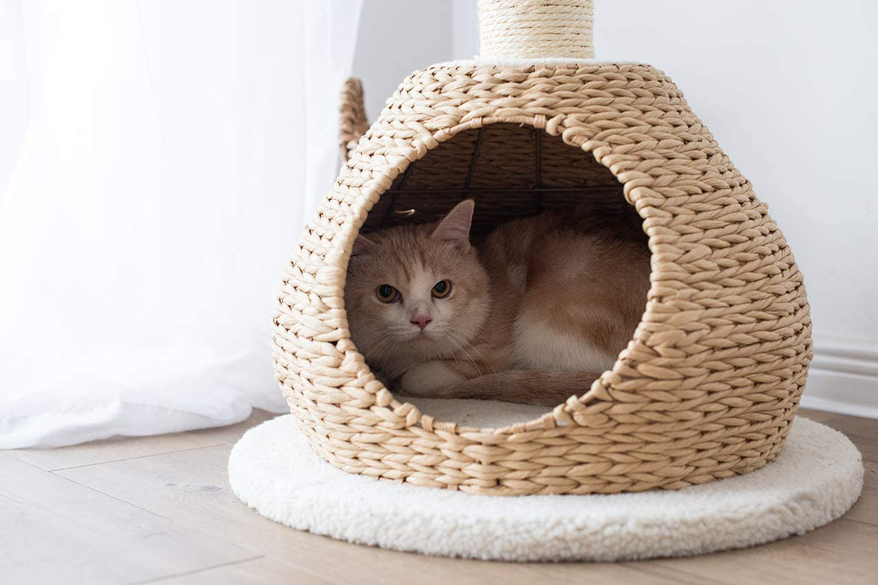 Petpals Hand-Made Paper Rope Natural Bowl Shaped with Perch Cat Tree Animals & Pet Supplies > Pet Supplies > Cat Supplies > Cat Furniture PetPals   