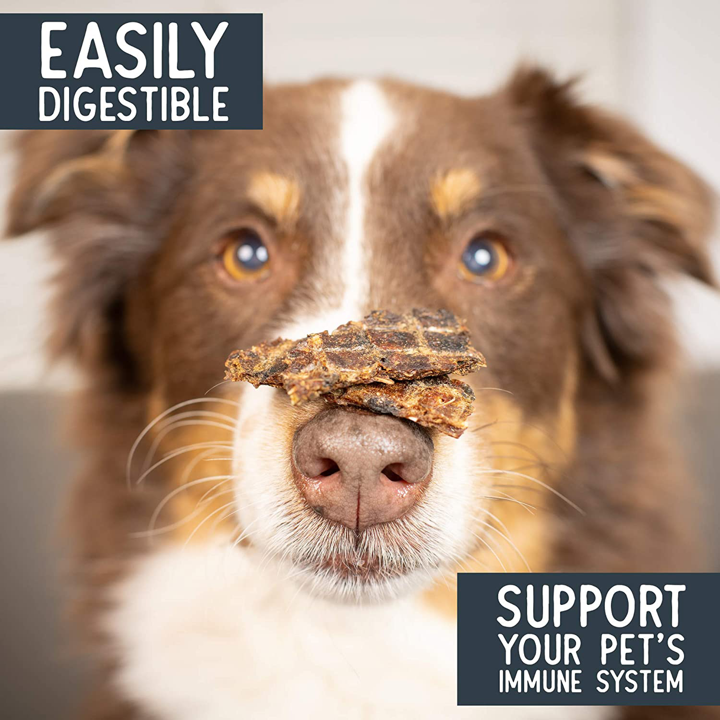 Pet Craft Supply Pure Natural Dried Dog Treats - Salmon Dog Treats - Liver Treats - Training Treats Great for Puppies - Grain Free Animals & Pet Supplies > Pet Supplies > Bird Supplies > Bird Treats Pet Craft Supply   