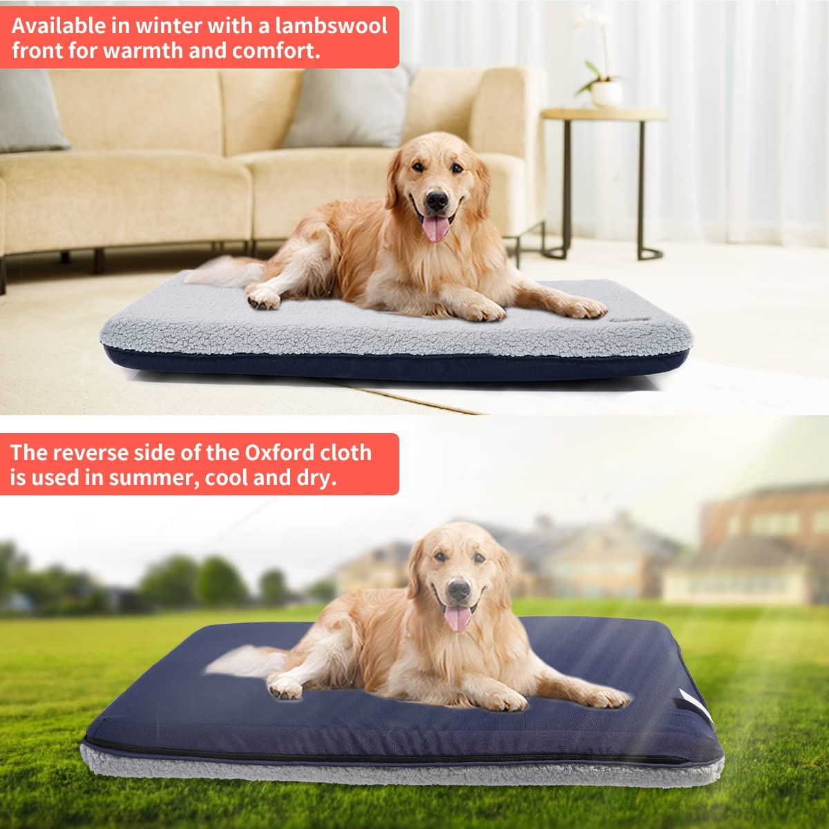 Dog Beds, Memory Foam Beds for Large, Medium, & Small Dogs