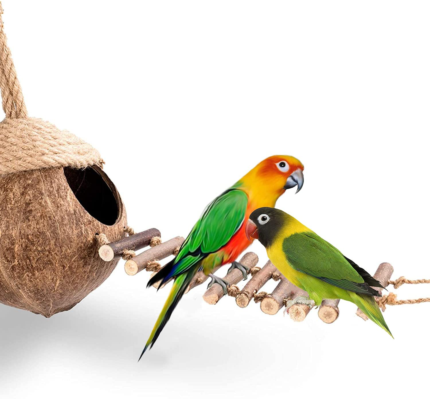 Keersi Natural Coconut Shell Bird Nest Hut Bed Toy for Pet Parrot Budgies Parakeet Cockatiels Conure Lovebird Canary Finch Hamster Rat Gerbil Mice Chinchilla Squirrel Cage Animals & Pet Supplies > Pet Supplies > Small Animal Supplies > Small Animal Habitats & Cages Keersi   