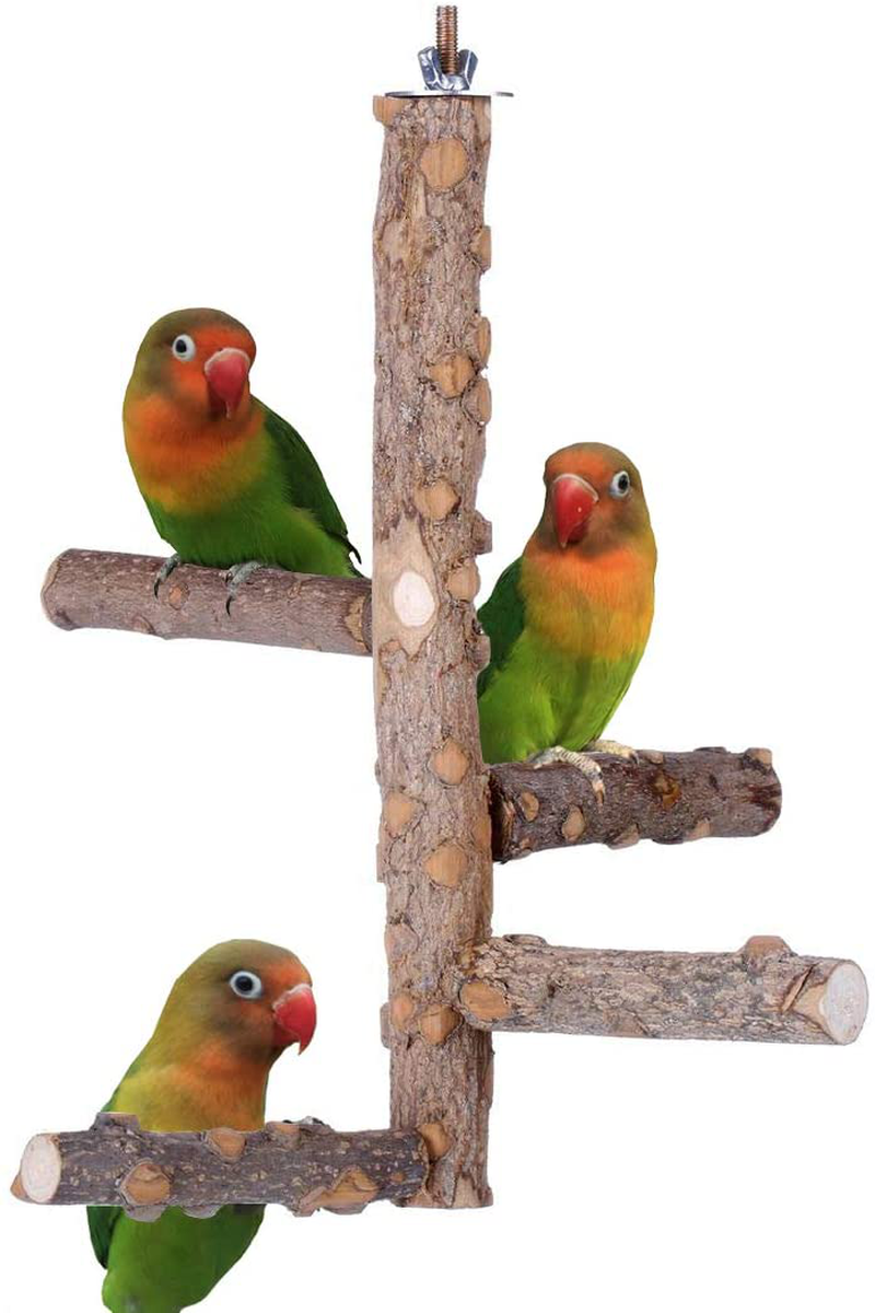 KINTOR Bird Perch Nature Wood Stand for 3-4Pcs Small Medium Parrots Animals & Pet Supplies > Pet Supplies > Bird Supplies > Bird Ladders & Perches KINTOR S--for Small Parrots  