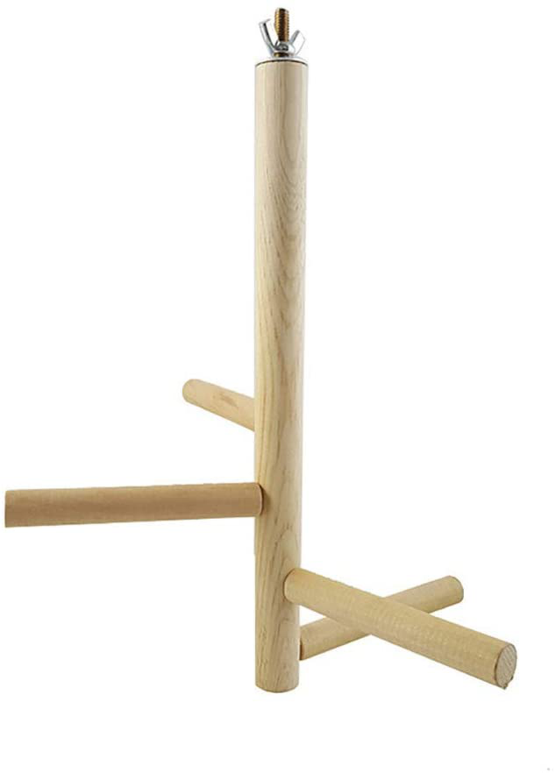 Newooh Bird Cage Stand Parrot Perch Training Stands Playstand Playgound Play Gym for Concures Parakeets Lovebirds Cockatiels Animals & Pet Supplies > Pet Supplies > Bird Supplies > Bird Gyms & Playstands Newooh   